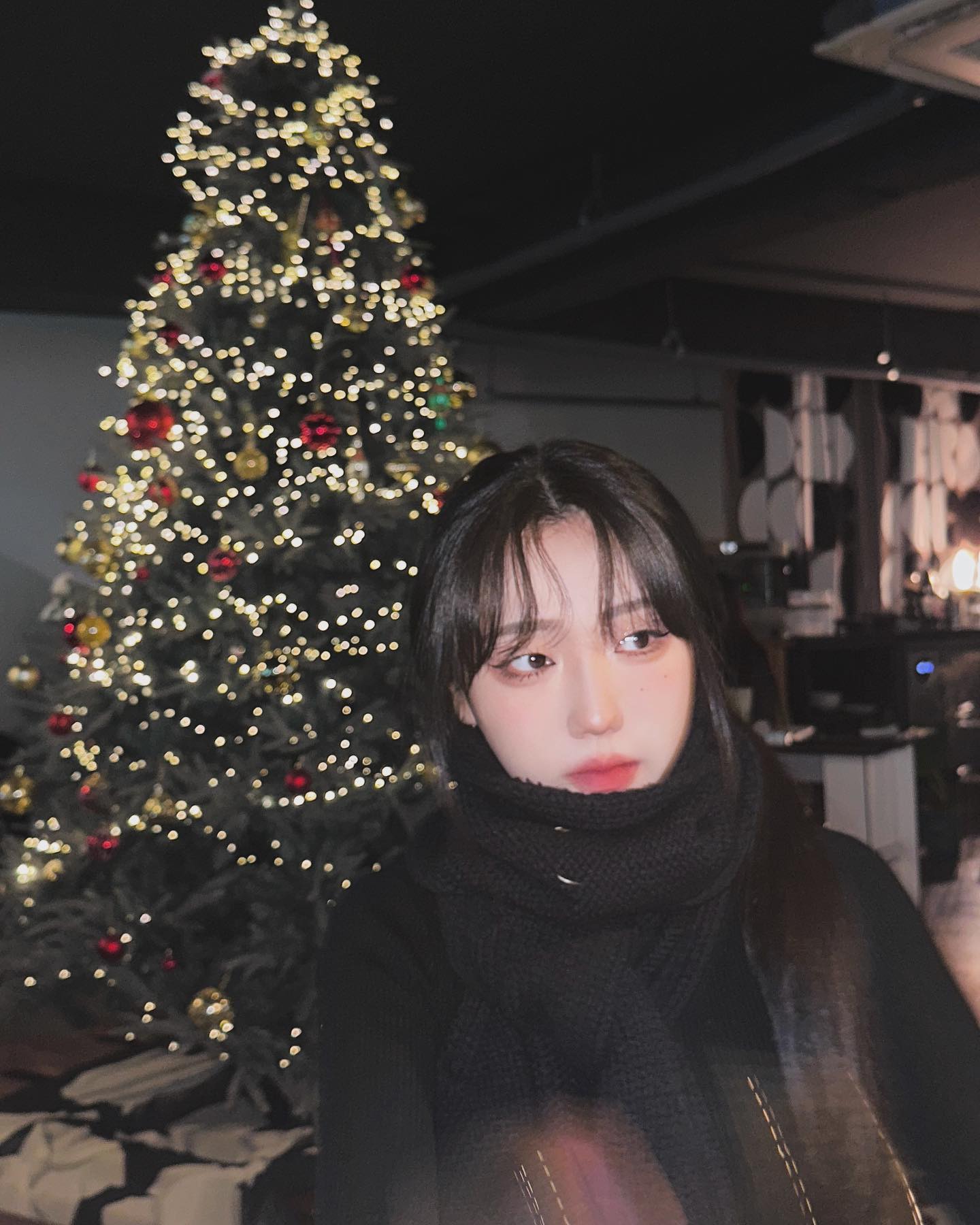 🎄🎄🎄