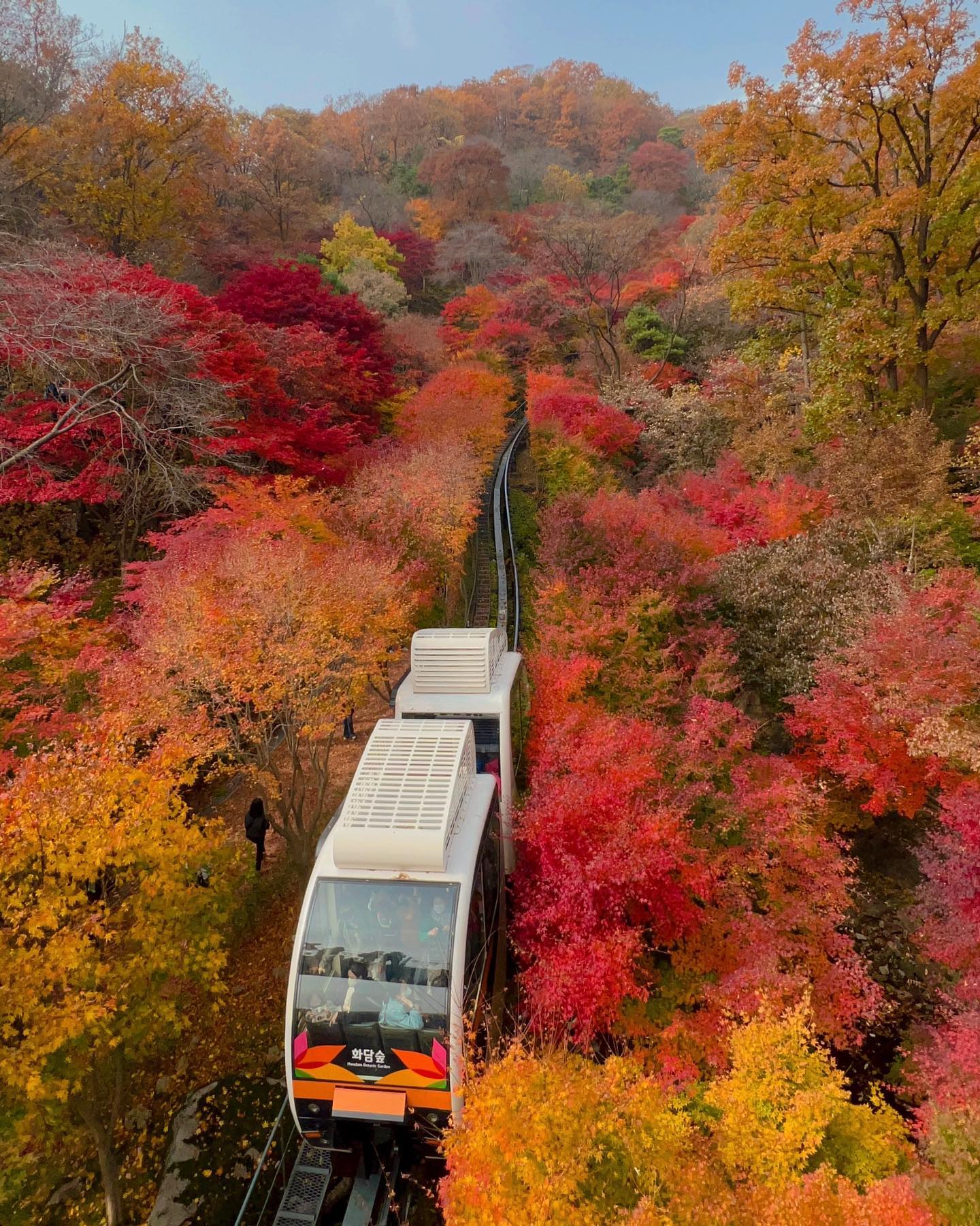 🍁🍂❤️