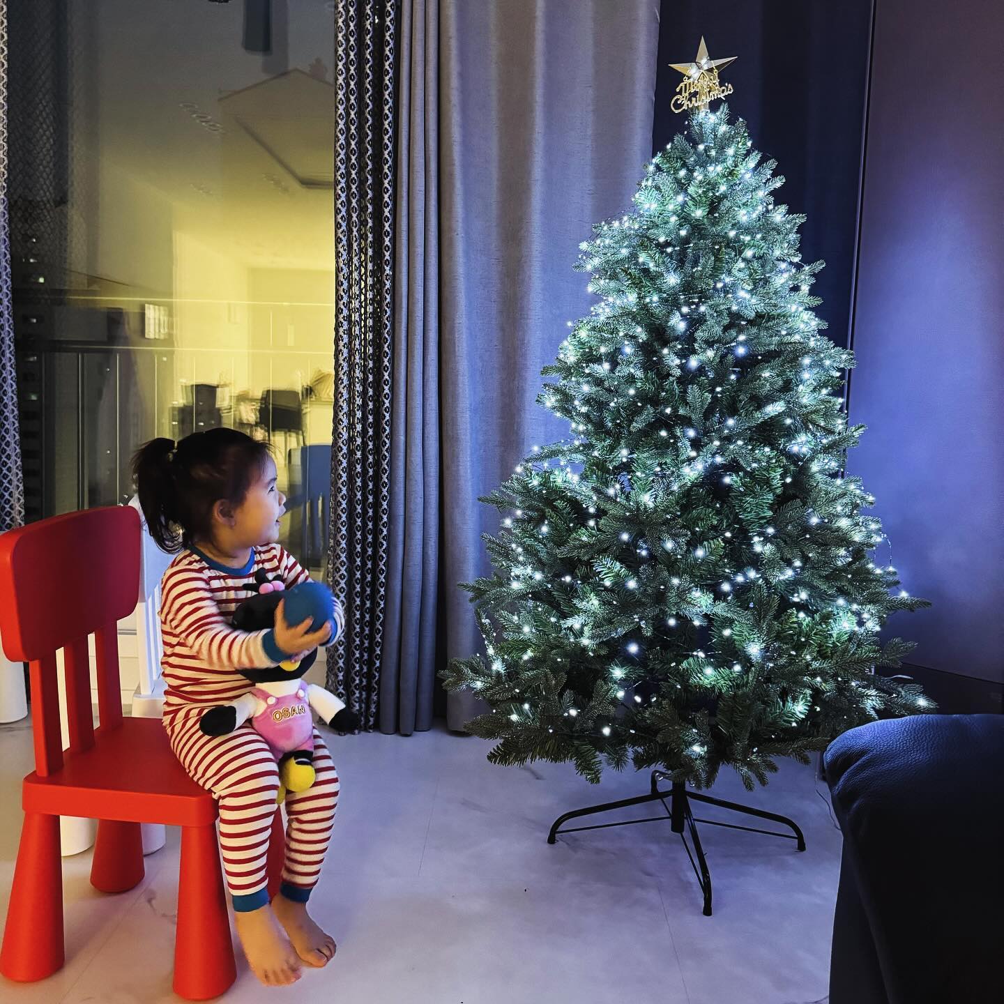 🎄

우리애기 트리멍❤️

이제 트리멍을 할 정도로 컷구나🥹
너의 두번째 크리스마스를 행복하게 해주고싶다
이런게 부모마음인가..🥹🥹

#메리크리스마스 #크리스마스트리