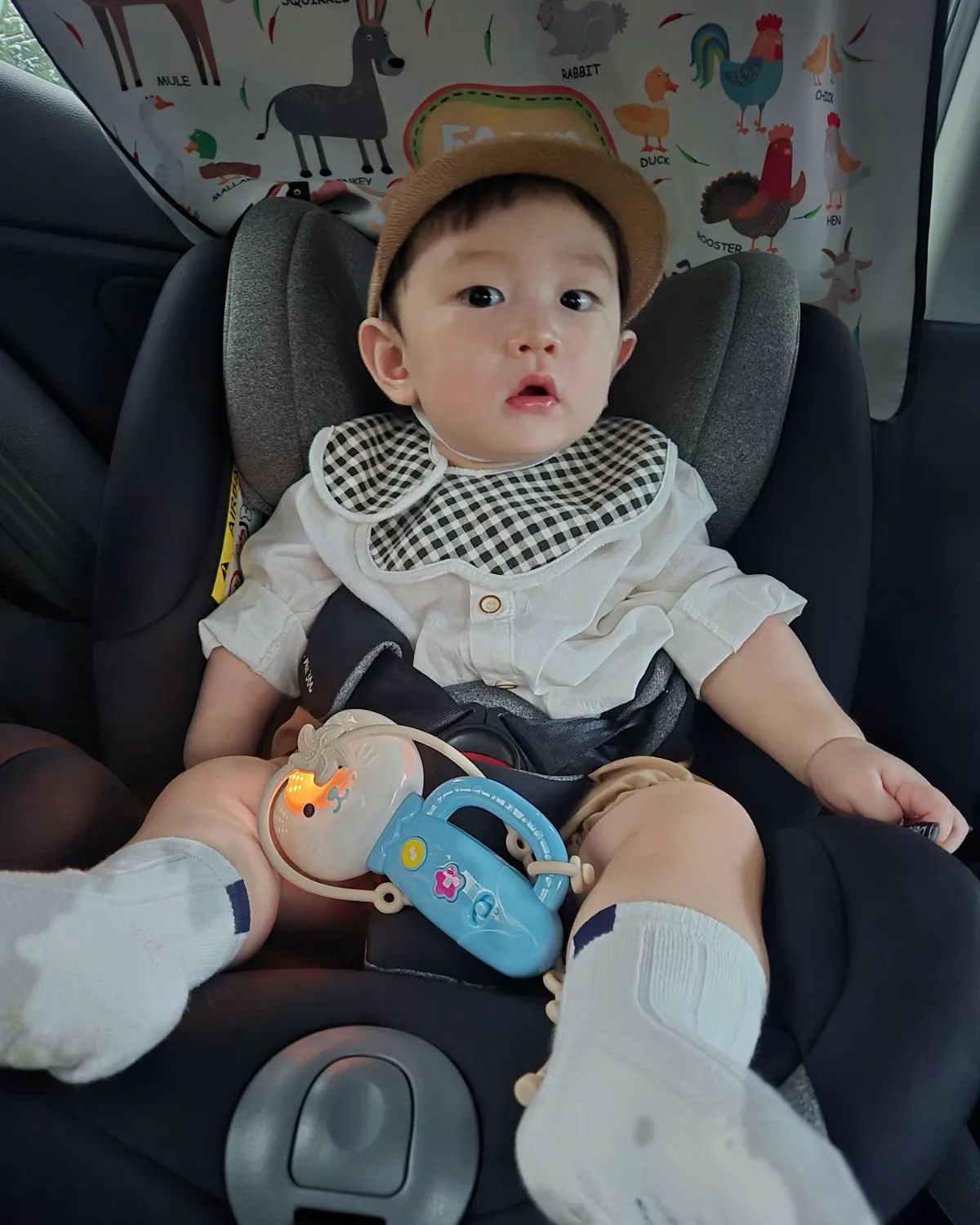 #
3일뒤면 벌써 태어난지 일년
돌이라서 주말에
친정식구들이랑 시댁식구들이랑 식사하고옴
애비가 이 날 입힐거라고 꼬까옷도 사줌
엄청 큰아같음
7시반 저녁식사였는데
잠자는 시간이었는데 사람들이 많아서 씬났었지
누나 형아 5갤빠른 친구 
할머니 둘.할아버지 둘
고모.고모부
삼촌.숙모

사람좋아하는 우리 애기는 잠자는 시간임에도 불구하고
엄청나게 씬나하고 즐거워했다
생각하지도 못한 선물도 엄청많이받고 
우리아기는 복도 많네 

3일뒤 생일 미리 축하해
6월 14일에는 엄마랑 아빠랑 깡이횽아랑 콩이누나랑
#생일파티 하자

#11개월아기 #11개월 #돌아기