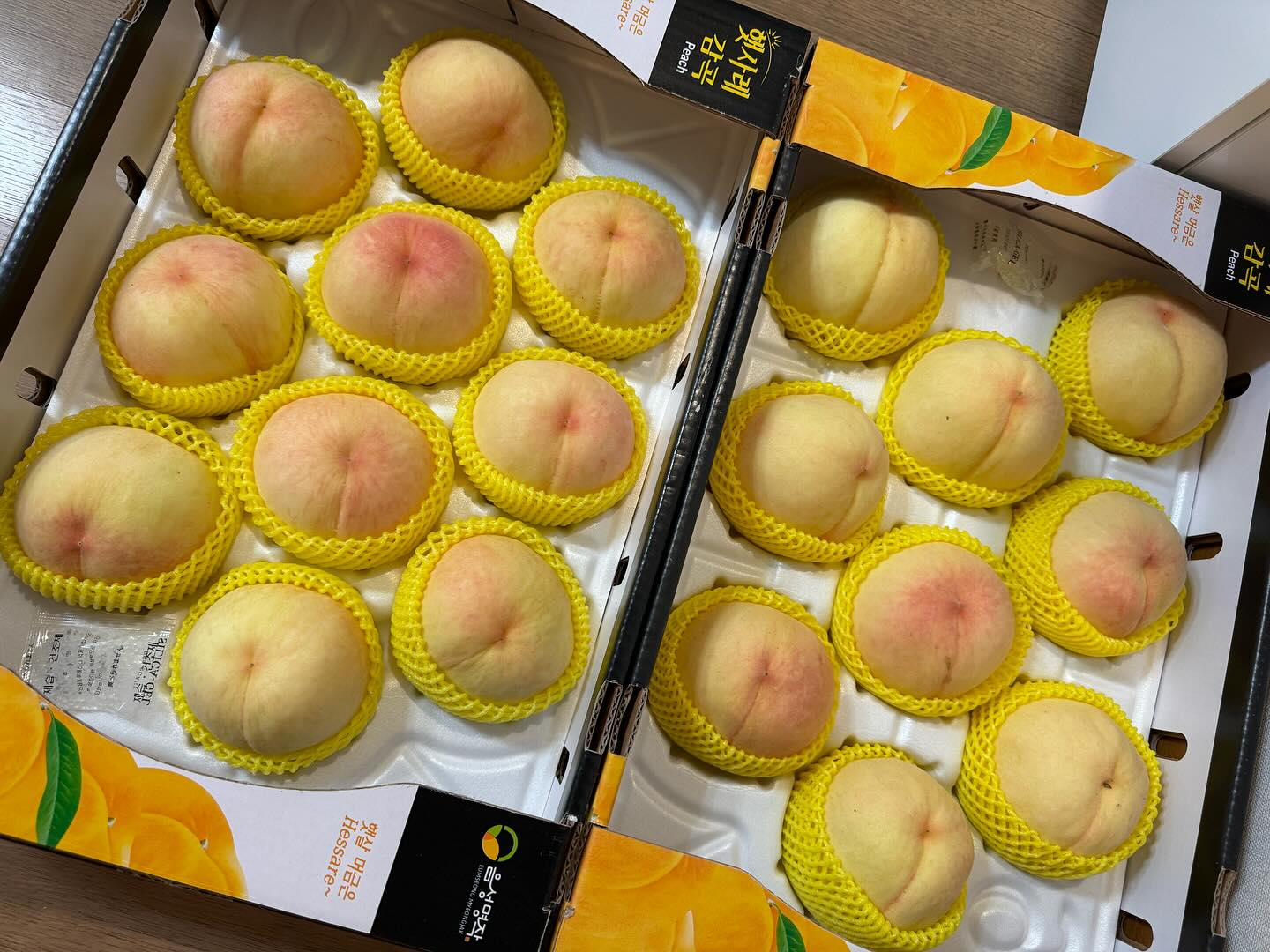 콘텐츠