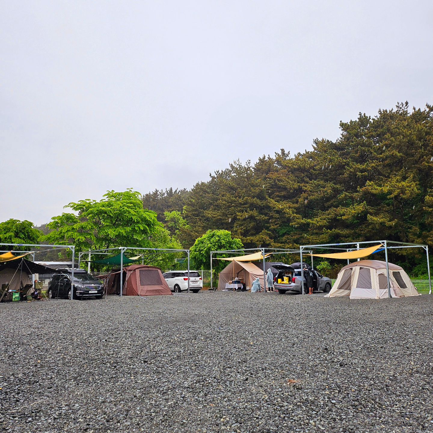 -♡

어린이날 2박3일로 
아이들이랑 새로생긴 캠핑장으러🏕

땅파면 동죽 우르르 나와서 나만 알고싶은곳이다😂

키즈캠핑장보다 체험 삶의 현장을 좋아하는 우리 아덜덜

캠핑갈때마 비가 주룩주룩와서...
다음에는 비안왔으면👏🏻👏🏻

또 가고싶은곳🏕

#어린이날 기념
#청포대캠핑스테이

#아들맘 #형제맘#11살#8살
#초딩#초딩맘#초4#초1
#육아맘#육아소통 #육아맘환영
#내사랑 #내보물 #워킹맘
#육아일상 #일상 #소통 #좋아요 #맞팔 #인친
#애스타그램 #럽스타그램#젊줌마
#엄마가세상에서제일사랑해아들들❣