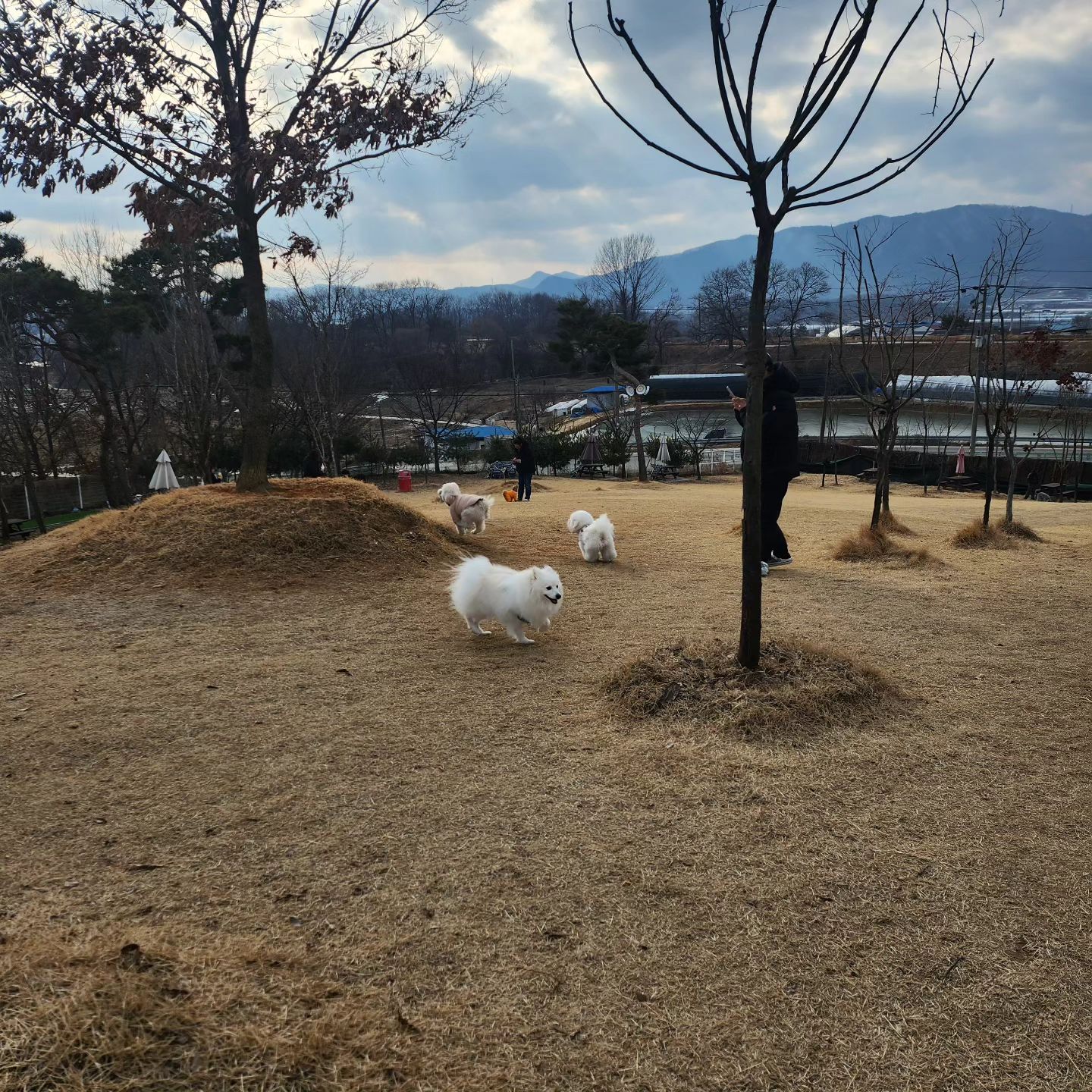 #오랜만 #고고독 #강아지대환장파티 #너가좋으면나도좋아❤️ #로건
