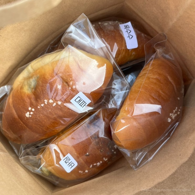 제주 서귀포 빵지순례 제과빵빵, 쇠소깍 근처 소금빵 식빵 고기국수빵 맛집
