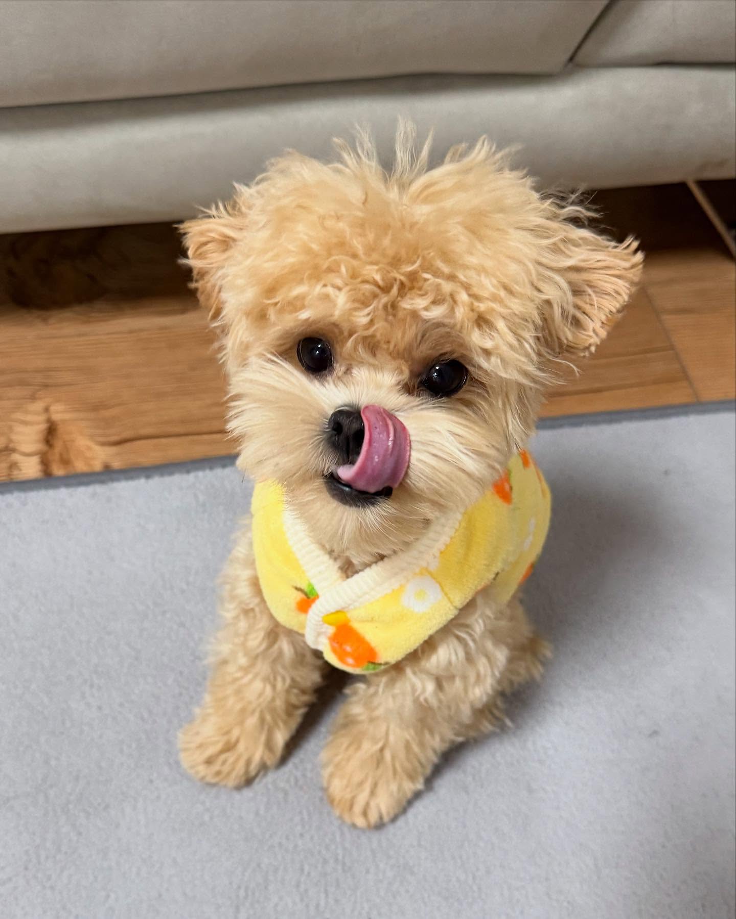낼룸👅