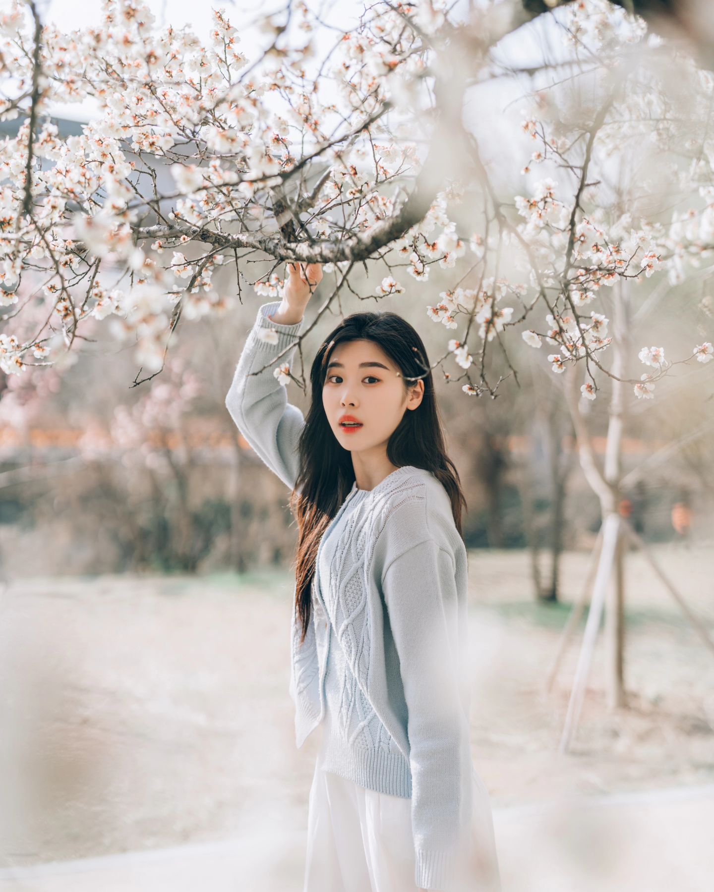 제 피드에도 봄이 왔어요🌸
이번 봄꽃 스냅은 매화로 시작합니다🤭