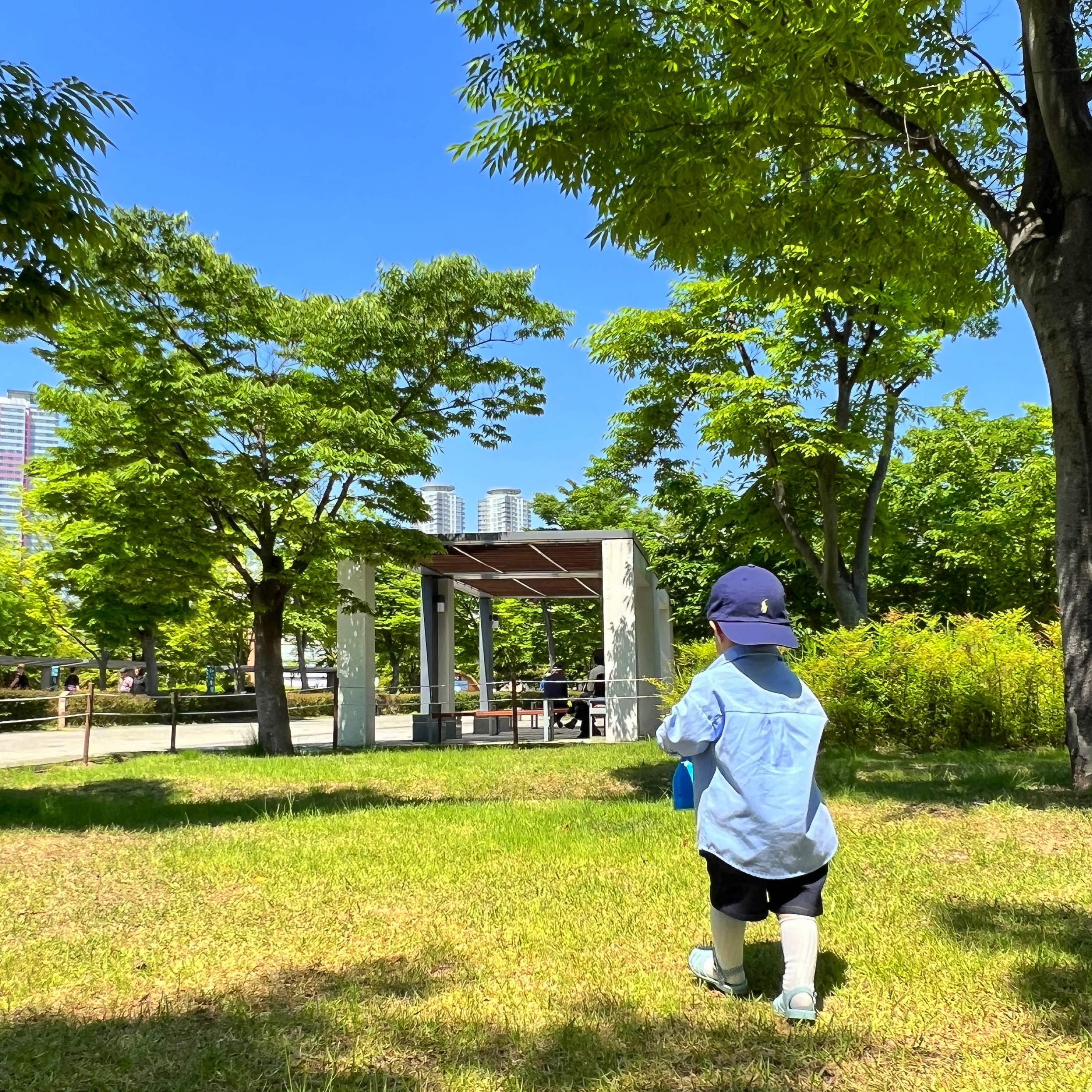 콘텐츠
