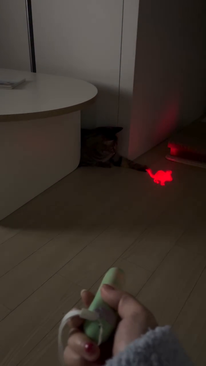 제리