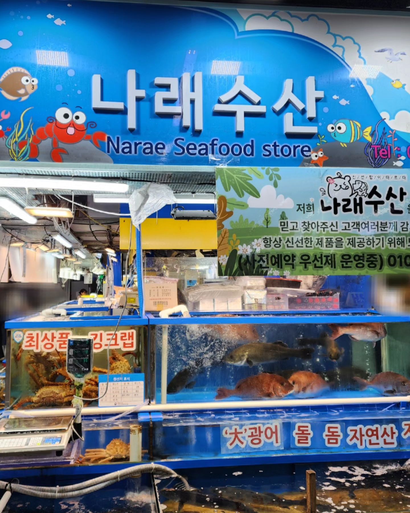 가을철 맛있는 전어를 더욱 맛나게 먹어볼 수 있는!
《 가락시장 나래수산 》 입니다! 
⠀
제철회도 맛나게 먹어볼 수 있는 나래수산은 동1문 출입구에서 바로였는데요~
워낙 많은 가게가 있어 길을 잃으셨더라도 1층 48호를 찾아오시면 된답니다!

워낙 서비스도 잘 챙겨주시고 포장도 꼼꼼하게 해주시는걸로
추천을 많이 받은 나래수산이여서 가기 전부터 기대를 했는데요!😆
아니나다를까 도착하자마자 많은 분들이 앞에서 기다리고 계셨어요~

저희는 가을에 제철을 맞은 전어와 함께 다양하게 즐기기위해
전어모둠회를 주문했는데요! 전어/대참돔/대광어/광어지느러미까지
알찬 구성으로 먹을 수 있어서 어떤걸 먹어야할지 고민이라면
엄청 강추드려요~👍 

원래 포장을 하면 매운탕거리도 챙겨주시고 보냉백도 주신다해서
어떻게 할지 고민하다가 설거지거리를 생각해서 ㅎㅎ 
초장집에 올라가서 먹기로 결정을 했어요!

이모님을 따라 올라가니 자연스럽게 차려진 상과함께
서비스로 주신 전복과 너무 이쁘게 담긴 전어모둠회가 나왔어요!
오독오독 씹히는 제철 전어에다가 대광어,대참돔도 두툼하게 썰려있고
광어 지느러미까지 살살 녹아서 너무 맛있게 먹었네요!!
마무리로 매운탕에다 라면까지 깔끔하게 먹어주니 너무 만족스러웠어요💕

여러분도 가을에 가을제철 전어를 #가락시장나래수산 에서 드셔보시는건 어떨까요?

더 자세한 이야기와 영상과 사진은 '삔의 사생활' 블로그에서 만나요🤗

⠀
❤ 💛 💙
가락시장 나래수산 
🚩 서울 송파구 양재대로 932 가락몰 판매동 1층 48호
🕔 영업시간 :  매일 오전 11시 ~ 오후 9시 (재료소진시 조기마감)
☎️ 번호 : 010-5892-4825
🚗 가락몰 지하 3층 B12, C12 구역에 주차하시면 편해요!
 (현장구매 고객분들께 3시간 무료주차)
❤ 💛 💙
⠀
#가락시장전어 #전어회맛집 #가락시장전어맛집 #가락시장횟집 
#가락시장횟집추천 #가락몰횟집 #가락몰회추천 #가락시장양심횟집 
#좋반 #좋아요반사 #선팔하면맞팔 #칼맞팔 #선팔 #소통해요 #소통 #삔의사생활