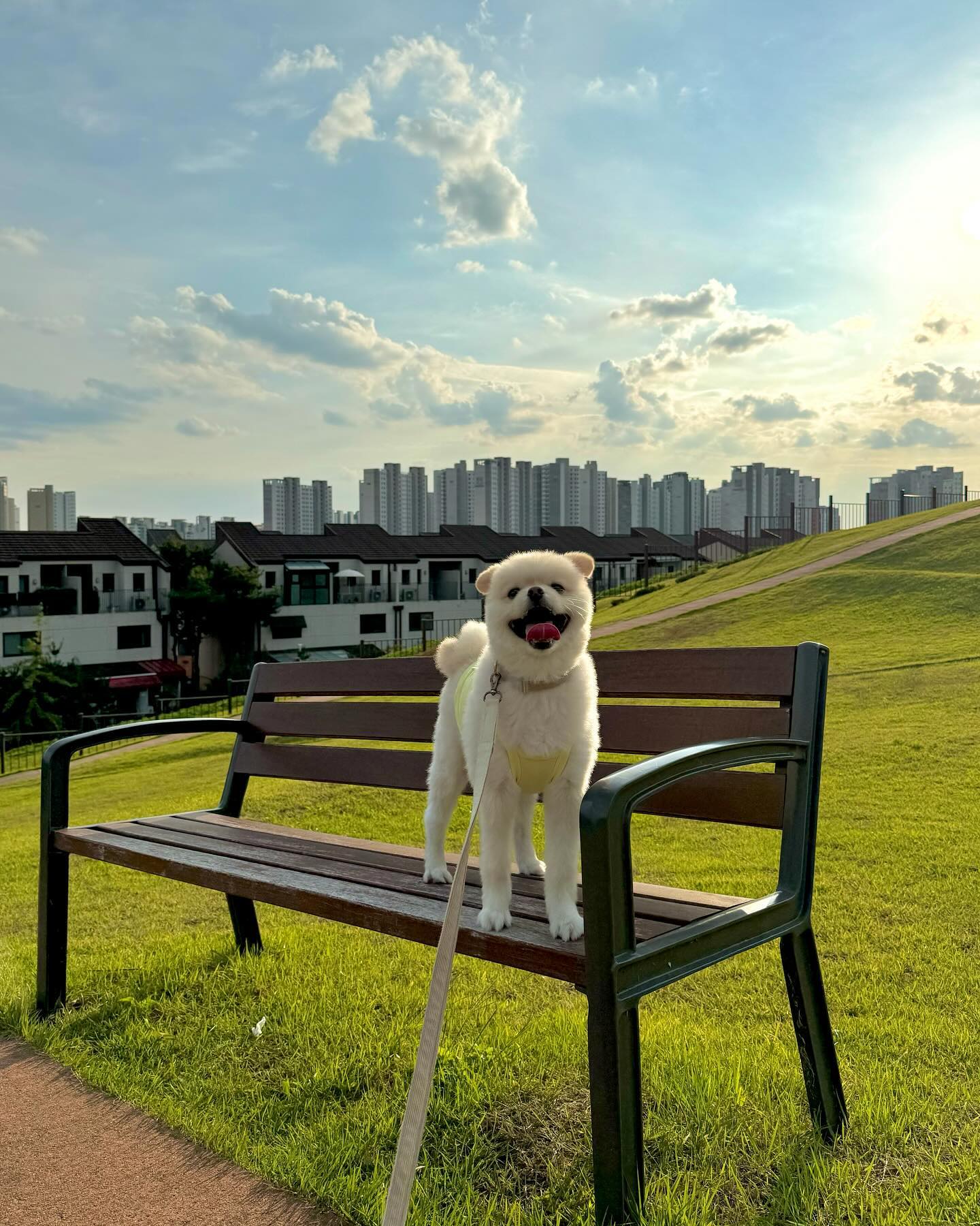 오늘도 햅삐 둡💛