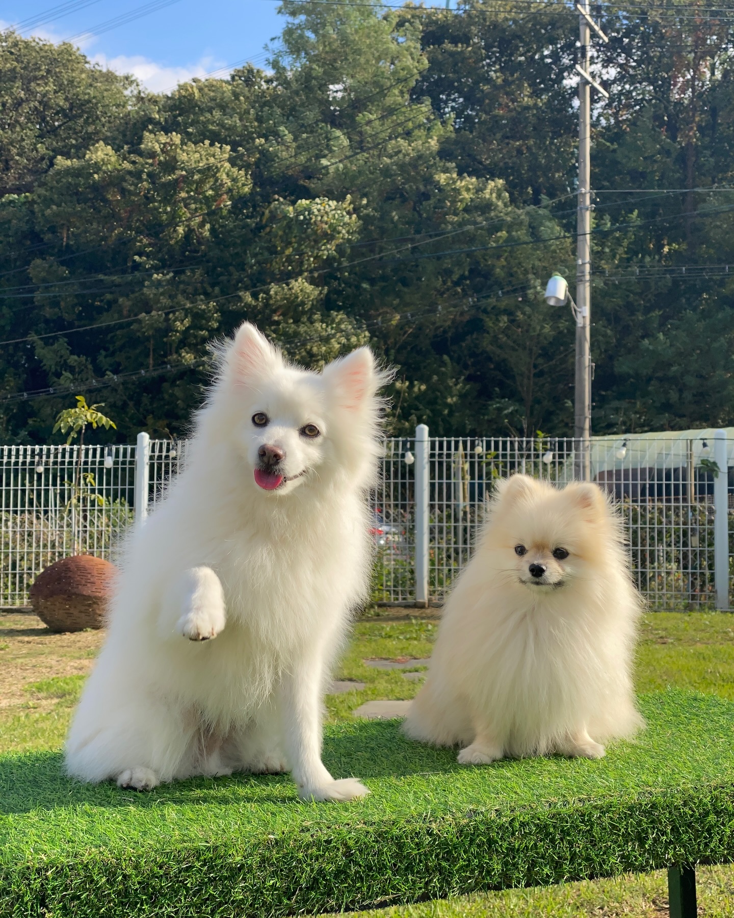 귀여운 애 옆에 귀여운 애🫶🏻
