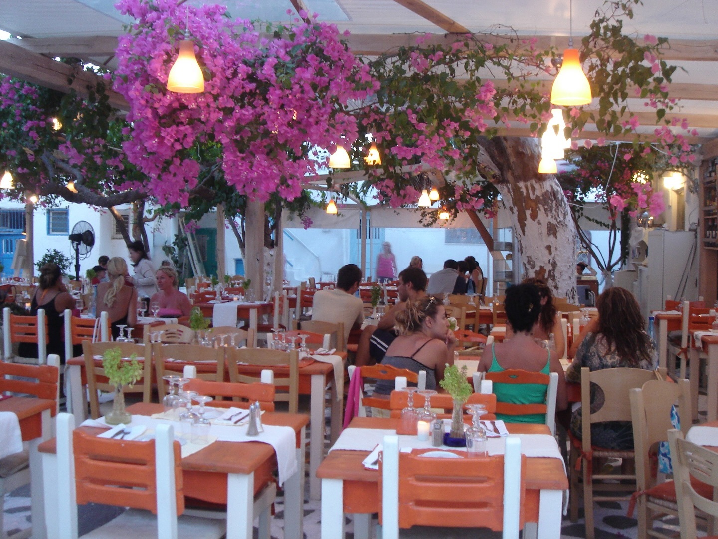 #유럽배낭여행_2008년
#greece #미코노스 #산토리니 #mykonos #santorini #그리스#🇬🇷 

대학교 여름방학때 
용감무쌍하게 혼자 계획다 짜서 다녀온 한달간의 유럽여행

#디카갬성