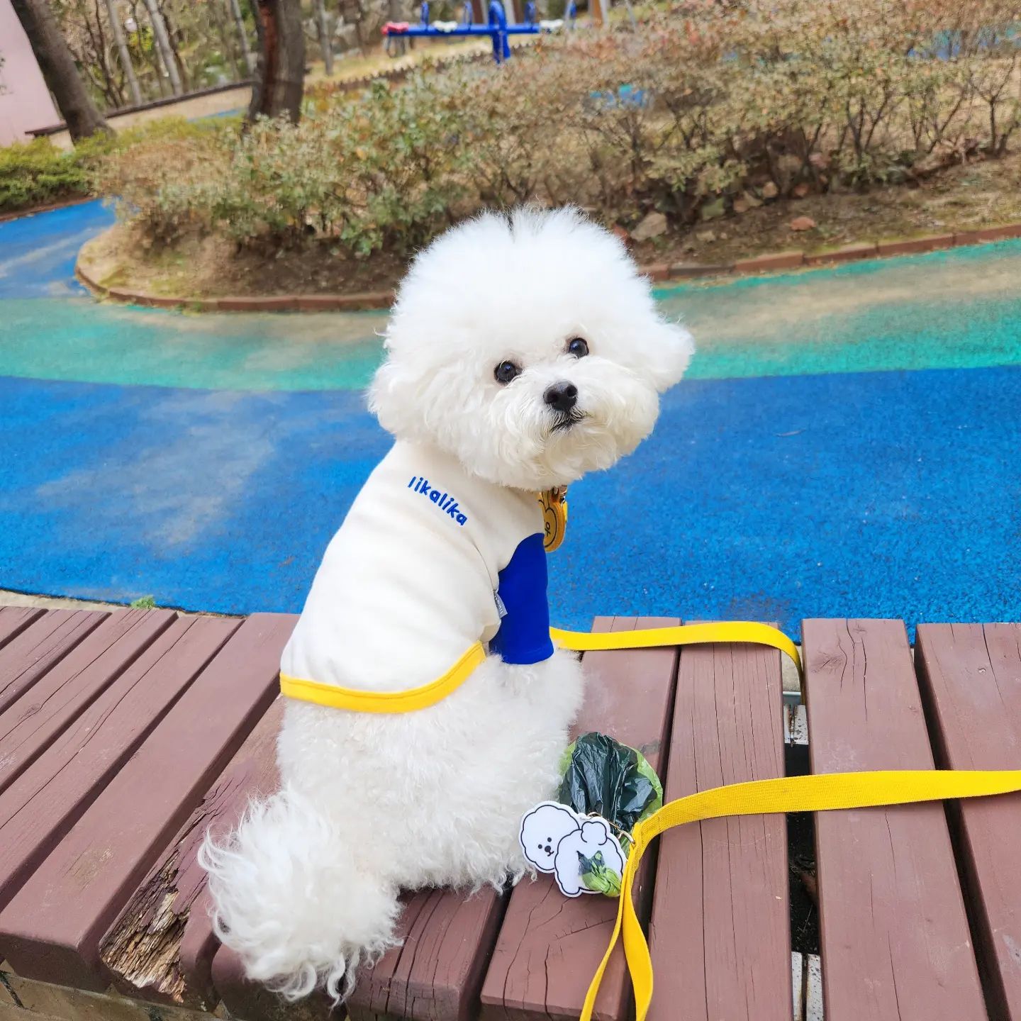 🐶 산책 질 상승하는 꿀TIP 🐶 #협찬

똥주머니는🥹

1. 가방에 넣으면 그 가방에 💩냄새 가득
2. 손에 들고 다니자니 괜히 민망 + 귀찮고 번거로움
3. 서우는 안들어줌😮‍💨

👊🏻 이럴때 진짜 산책 질 상승 1000%
#팔로밈즈 #풉백홀더 👊🏻

🌟  풉백홀더를 산책가방이나 리드줄에 달아 편안한 산책 가능

🌟 💩 처리한 봉투를 손으로 들지 않아 위생적이고 분실 위험 없음

🌟 귀여운 강아지 캐릭터 디자인으로 키링으로 활용
- 다양한 종이 있더라구요🫶🏻 서우는 심서우 닮은 비숑으로🩷

귀여운 내 새꾸 닮은 애로 PICk하고 들고 다니자구요🐶♥️

🏷 _followmemes 
_