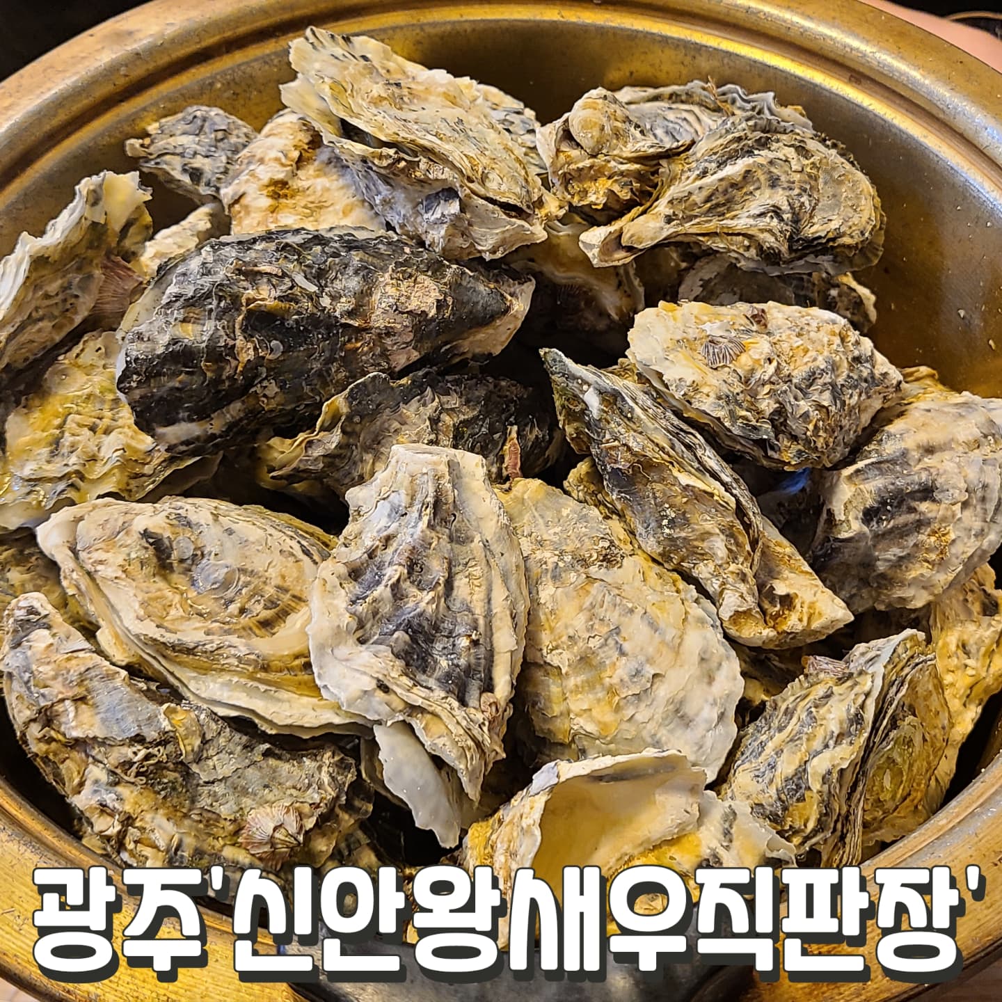 #신안왕새우직판장 #광주

굴찜과 굴전, 생굴 세트
굴찜은 심지어 무한리필
생각보다 굴은 많이 못 먹는구나
나약한 내 모습에 실망함..ㅎㅎ

#4인굴세트 80,000원
굴찜무한리필+생굴+굴전
+왕새우철판볶음
