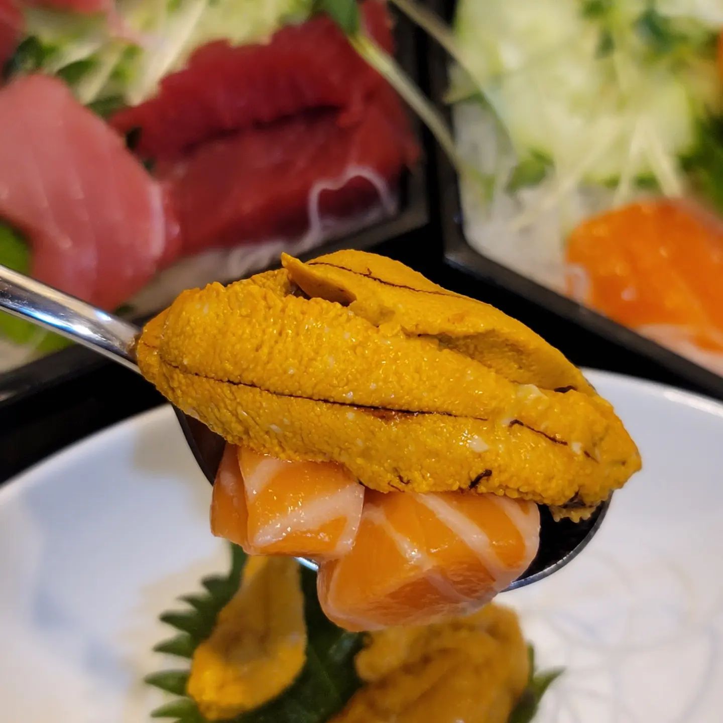 도곡동 카이센동 맛집! #도곡스시

참치랑 연어는 입에서 사르르 녹는 맛!

우니는 녹진하고 고소한 맛😍😍
우니 추가는 필수!

다음날도 생각나는 맛.
이름하여 도곡스시! 

#강남맛집 #daily #일상스타그램
#도곡스시 #스시 #카이센동 #맛스타그램 #푸드스타그램 #먹스타그램 #참치 #우니 #선팔하면맞팔 #사케동 #일식 #food #sushi