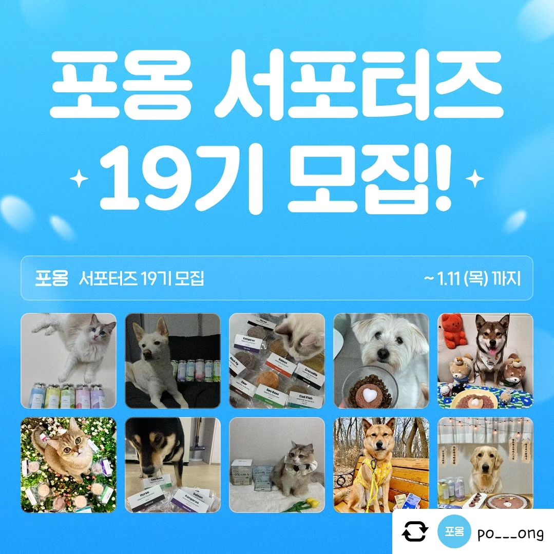 Posted withregram • po___ong #포옹 #서포터즈 
2024년을 맞이하여 더 풍성하게 돌아온 포옹 서포터즈, 19기 10명을 모집합니다 🎉

💎 총 100만원 상당의 포옹 제품 지원!
💎 최대 20만 포옹 앱 포인트 지원!
💎 포옹 신제품 평생 무료 체험! 
💎 포옹 명예 서포터즈 신청 자격 획득!

서포터즈 활동은? 👉 10주간 매주 포스팅 1회!

본 게시물 리그램하고 신청 이유 댓글로 남기면 포옹 서포터즈 19기 지원 끝 👏 (친구 소환으로 서포터즈 모집 소식을 소개해주세요 😄)

📍1/2 ~ 1/11 : 서포터즈 모집
📍1/12 : 선정 결과 발표
📍1/15 ~ 3/24 : 서포터즈 활동 (10주)

#불독 #프렌치불독 #강아지모델 #반려견 #애견인 #애견인맞팔 #멍스타그램 #개스타그램 #일상 #소통 #좋아요 #좋반 #좋아요반사 #팔로우 #데일리 #멍팔 #선팔하면맞팔 #선팔 #맞팔 #멍소통 #애견인소통 #셀카 #daily #dog #dogstagram #bulldog #frenchbulldog #frenchbulldogsofinstagram