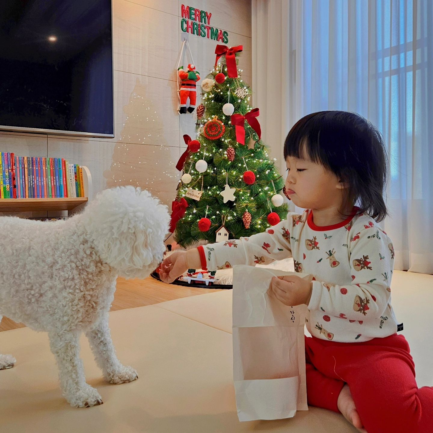 ❤️💚메리크리스마스💚❤️
간식이 있어야 같이 찍을 수 있는😝

남은 연휴도 재밌게 보내장 ˙ᵕ˙๓

#메리크리스마스
#merrychristmas🎄 
#귀여운내새꾸들 #사랑해 
#애개육아 #육아일상 #일상기록