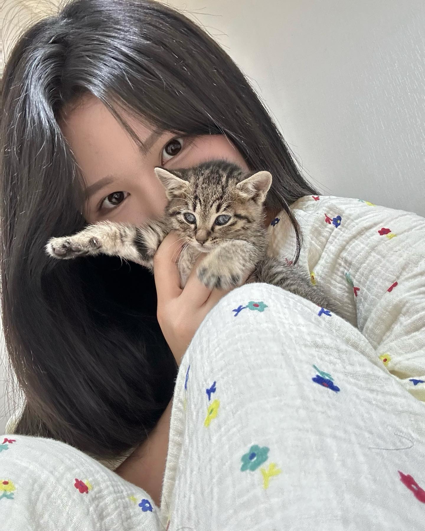 콘텐츠