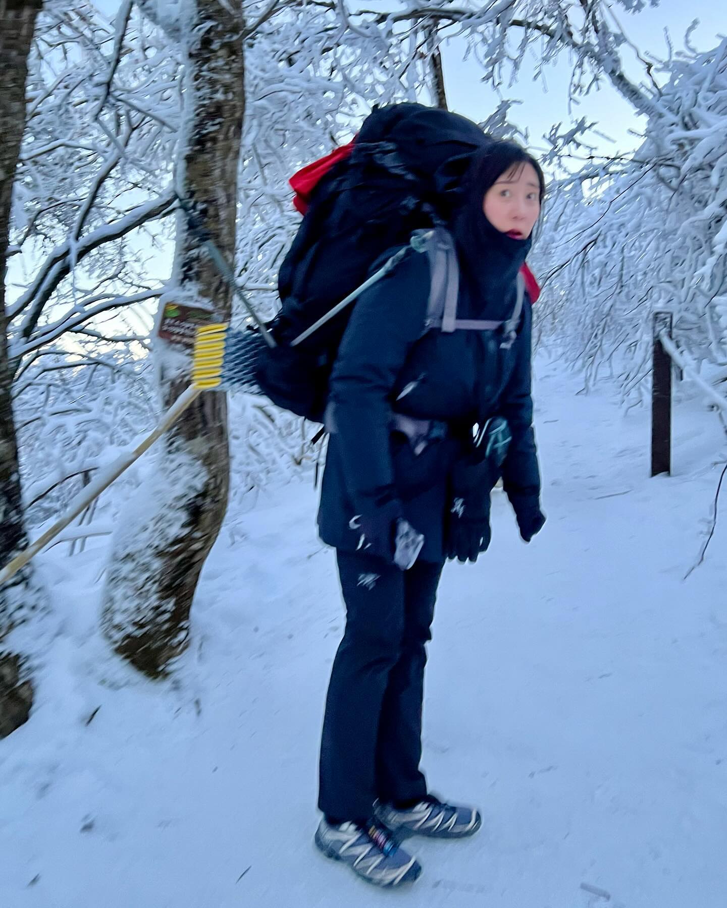 #🏕️

❄️🏔️❄️🏔️❄️🏔️❄️🏔️❄️
올해 첫 설산 백패킹 다녀왔쟈나!
❄️🏔️❄️🏔️❄️🏔️❄️🏔️❄️

추워 죽을뻔 했쟈나 ㄷ ㄷ ㄷ ㄷ ㄷ

,
,
,
,
,
,
,
,
,
,
#⛺️