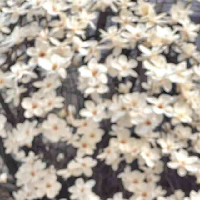 죠니 | 여행 + 패션 인플루언서 ✈️ on Instagram: "#광고 피부와 환경을 위한 진정습관, 메디큐브 시카라인 🌱 📍메디큐브 -슈퍼시카 딥 클렌징 밤 🧼메디큐브 시카라인 쓰다가 이번 기회에