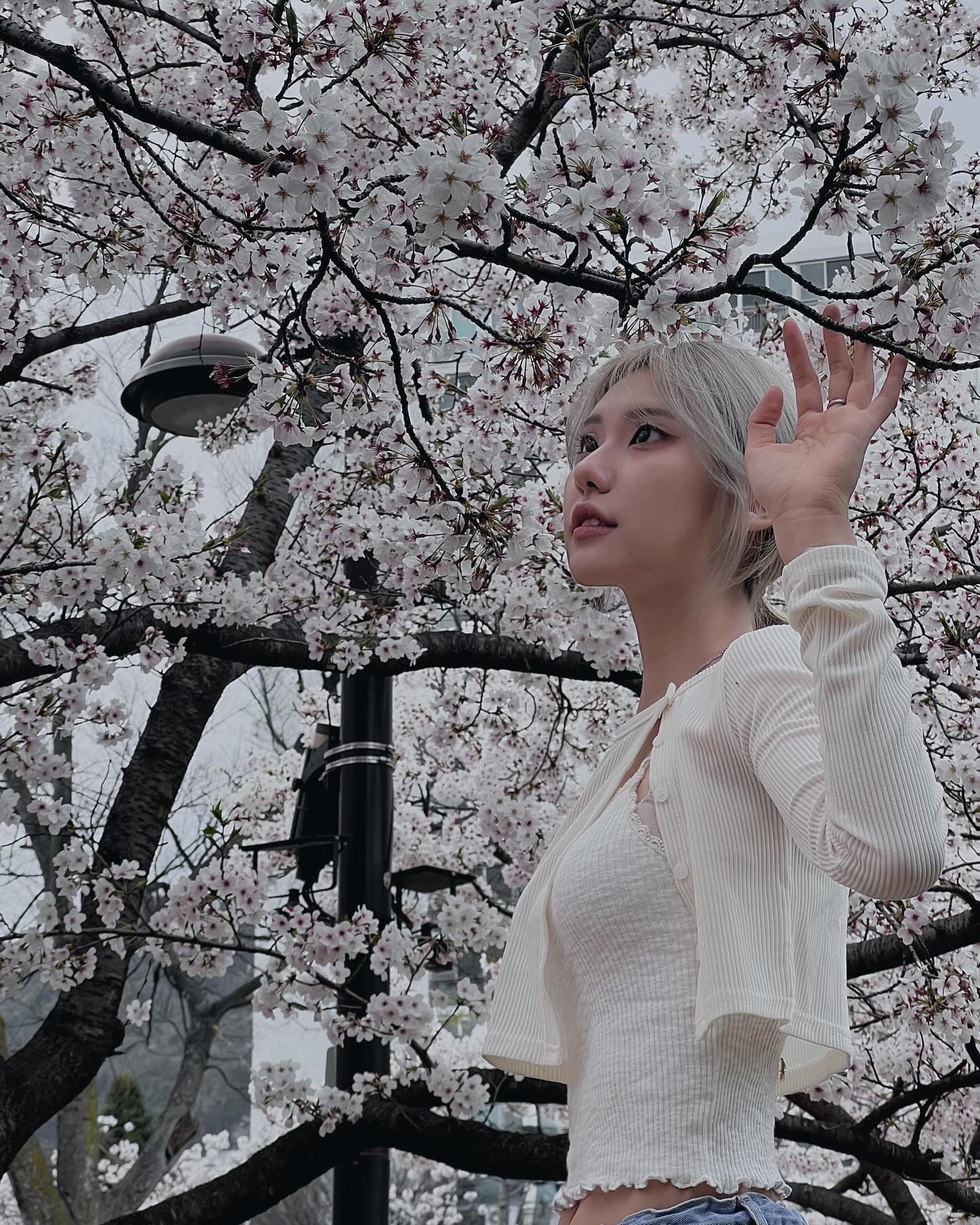 🌸🎬🤍