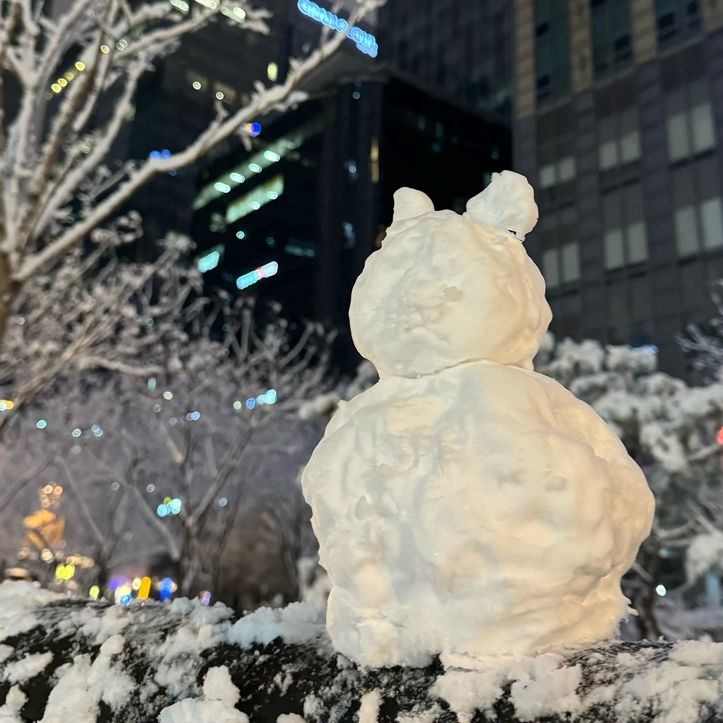 이렇게 함박눈 맞고 논건 진짜 오랜만인데
너무좋네
#함박눈 #눈오는날❄️