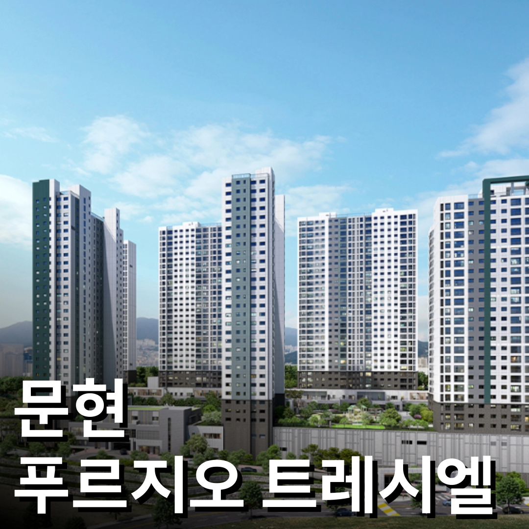#문현푸르지오트레시엘
 
부산 시내 신축 대단지 브랜드 아파트를
3~4억대로 내집마련 할 수 있는 마지막 기회!
🌟'문현 푸르지오 트레시엘'🌟
*지금 보시는 타입은 74B입니다.

✨도시재생 뉴딜사업의 비전과
부산의 중심 서면생활권을 누릴 수 있는 입지!

✨문현동 2,600억 규모의 공공사업으로
재개발 약 1만세대 뉴타운 형성 예정!

✨걸어서 갈 수 있는 학세권 입지
문현초, 성북초, 문현여고, 문현여중 등

✨분양가상한제로 합리적인 분양가!
3~4억대로 부산 시내 푸르지오 아파트🍀

문현 푸르지오 트레시엘 아파트의
모델하우스 방문예약 및 문의는
1551-7522로 상담 가능합니다.

✔️위치 : 부산광역시 남구 문현동 산23-1 일원
✔️규모 : 지하 2층~지상28층 8개동, 총 960세대
✔️타입 : 59A, 59B, 67, 74A, 74B

#문현동 #BIFC #부동산 #부산아파트 #부동산투자
#도시재생 #아파트 #서면 #전포동 #국제금융센터
#부전동 #연산동 #광안리 #해운대 #푸르지오
#신축아파트 #경매 #부동산경매 #분양상담사 
#이월십사일발렌타인