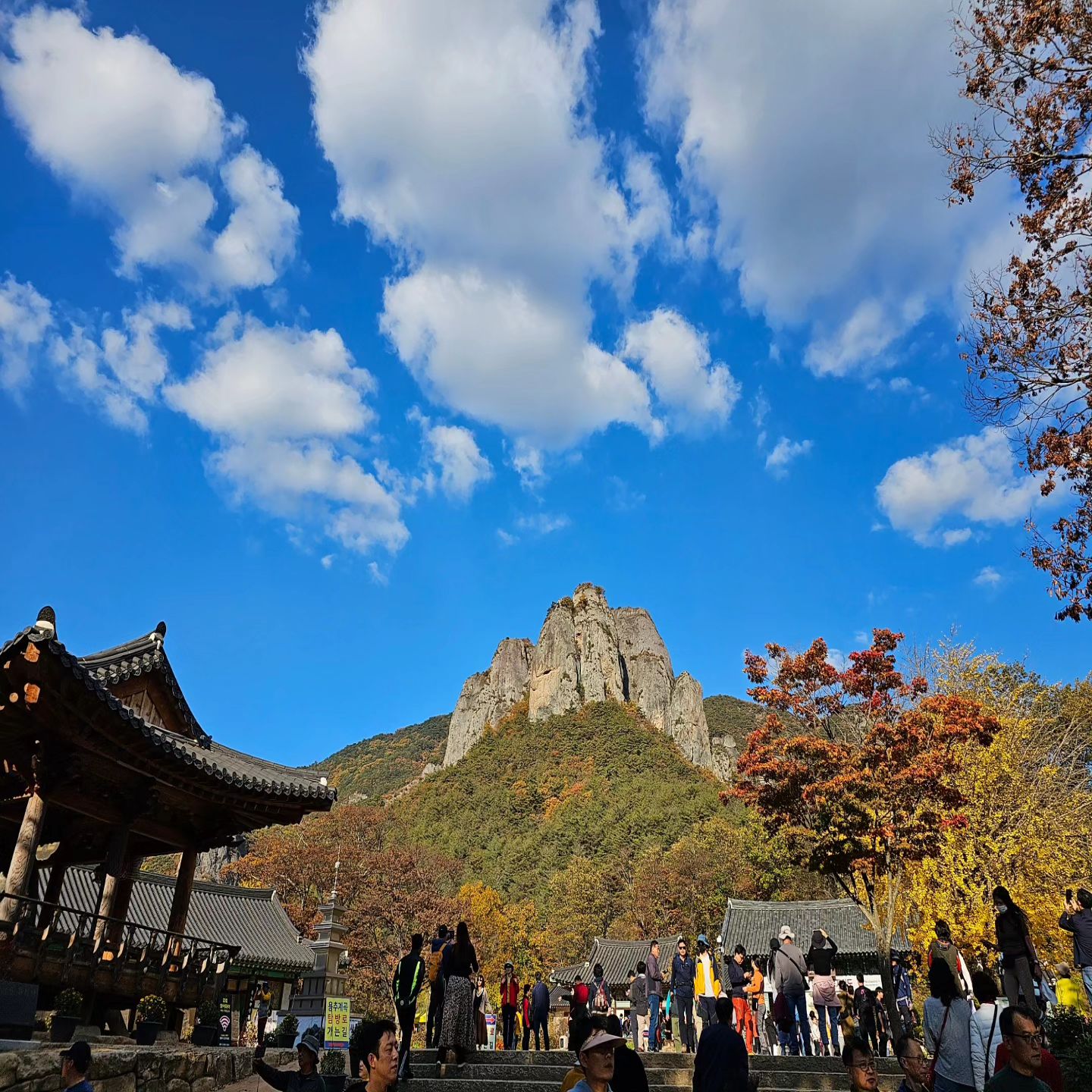 주왕산 단풍구경하고 왔어요~
사실 사람구경하고 온거 같기는 하네요ㅋ
적당히 따뜻하고 적당히 시원한날이라 
너무 좋았던거같네요^^
다들 오래간만에 많이 걸어서인지 
살짝 힘들어보였지만 맛난 백숙으로 
보상완료♡

#단풍놀이 #단풍구경 #주왕산국립공원 
#주왕산국립공원 #주산지 #청송사과
