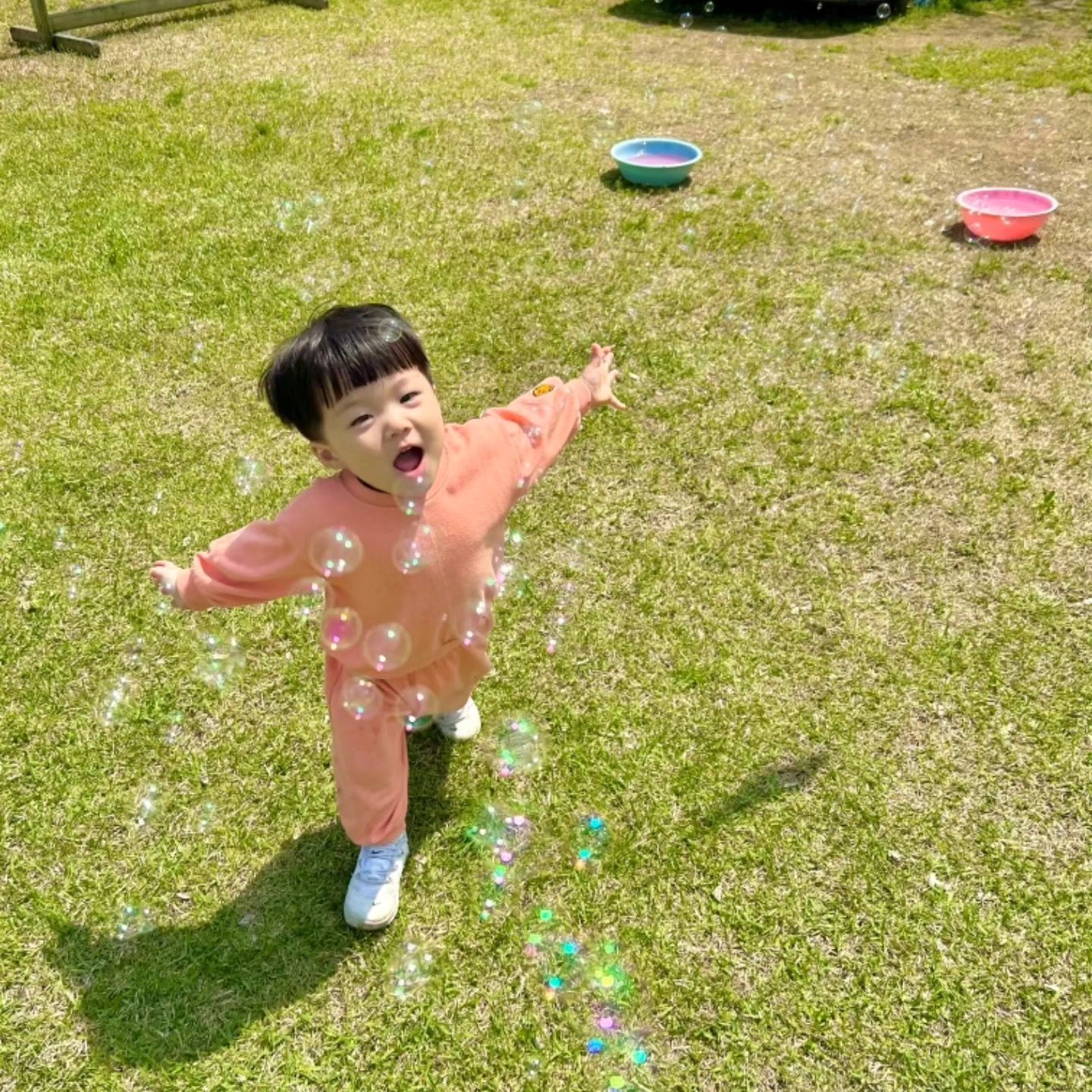 울 청개구리들🐸

봄소풍 너무 좋았는지 사진에서 찐행복이 느껴지네❤️

간식도 싹싹 다 긁어 먹고
둥이들은 갈때, 올때 다 푹 자면서 왔다고,

소윤이는 안잤다는데
선생님이 옆에서 들으시곤 
그럴리가요~ 타자마자 기절해서 잤다며🤣

버스 내릴때 셋다 비몽사몽 눈도 제대로 못뜨고 내림ㅋㅋㅋ

오늘 너희들의 하루가 행복했기를😊