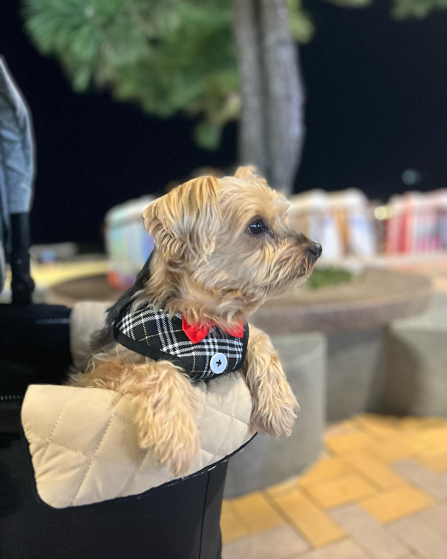 #Byulbari
부산 #송정해수욕장 에서 🏄‍♂️
바닷물도 어푸어푸 했지요~~~!