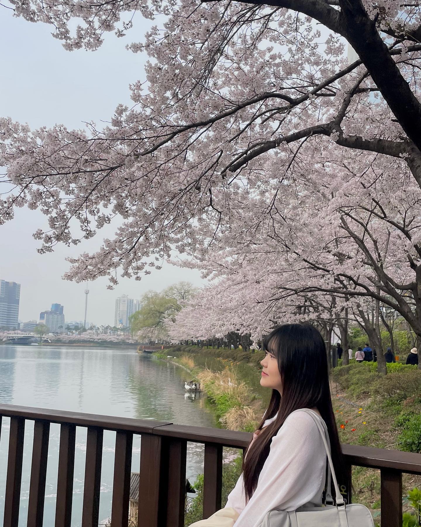 확대샷 & 전신샷 분업하며 죽이 척척 맞았던 프로님덜 ㅋㅋㅋㅋ
사진 넘 맘에들오요 ~~~ 🌸