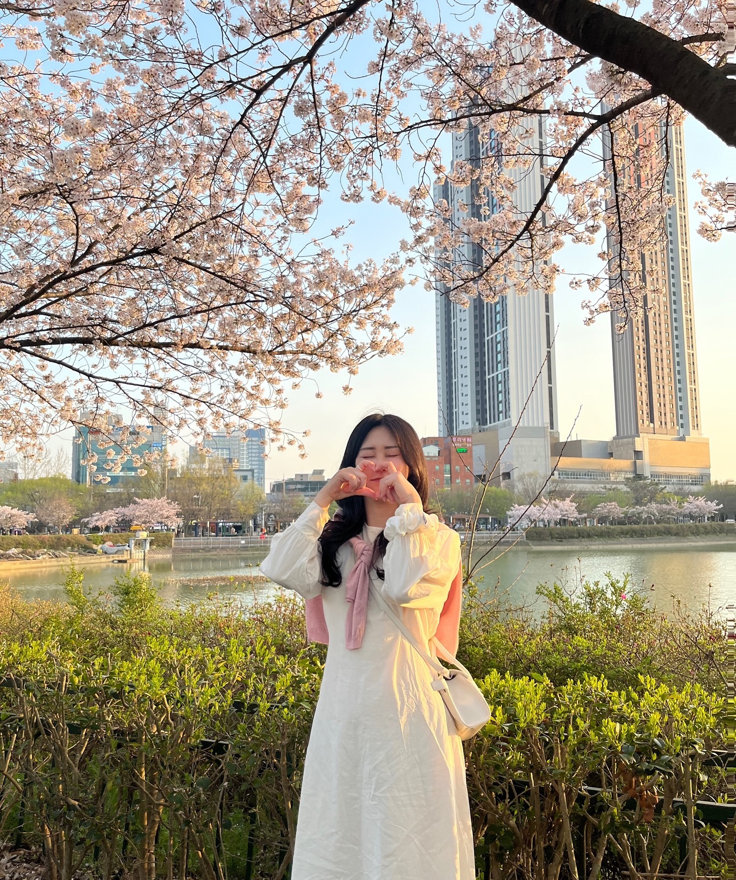 벚꽃아 내년에 또 봐 🫶🏻🌸