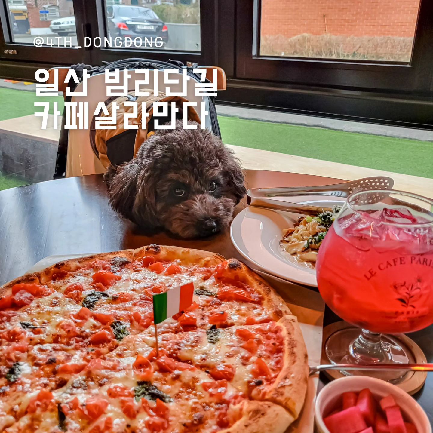 salamander0115 #카페살라만다
#밤리단길카페추천 #밤리단길애견동반 #일산애견동반카페

[동동이의 일기]
나 이동동 🫡 오랜만에 엄마랑 외식하러 나왔댜!
오랜만이라 너무 설레어서 엄마 말을 하나두 안들어땨!
왕왕왕! 짖고 다녀땨! 그래서 엄마한테 혼이 나땨!

🥄한줄평 : 음료, 파스타, 피자 모두 맛있는 곳은 처음이야 👍

🔸️가성비 최강의 가격의 [살라만다🦎]
2인 세트(마르게리따 + 파스타 1 + 음료 2) 가격이 ONLY 34,000원
물론 단품도 저렴해요 🫡

🔸️화덕피자가 맛있는 [살라만다🦎]
매장 입구쪽에 위치한 큰 화덕을 본 순간 저는 예감했습니다.
"이집 피자는 정말 맛있겠구나.. 🤤.." 예상은 적중했습니다.
기본 베이스인 쫀득한 도우, 적절한 토마토 양과 간,
거기에다 화덕이 만나 맛있을 수밖에요.. 🔥🍕🔥 

이외에도
포르치니 파스타는 어쩜 버섯의 식감을 잘 살려서 요리하셨는지 🤤
먹으면서 오~ 감탄사 계속 연발했답니다.
그리고 음료들도 비싸도 5천원 정도였는데, 퀄리티가 장난 아니었어요.
맛도 당연히 장난 아니었구요 😍
재방문의사 넘치는, 밤리단길에서 흔치 않은 주차 편한 카페

🍽카페살라만다
📍경기도 고양시 일산동구 산두로201번길 26
⏰️월, 수~일 10:00~20:00 / 화 정기휴무
📝애견동반 가능(단, 이동가방 또는 유모차 지참), 주차 가능

#일산분위기좋은카페 #밤리단길카페 #밤리단길파스타 #밤리단길맛집추천 #정발산역맛집 #일산피자맛집 #일산파스타맛집 #밤가시마을카페 #밤가시마을맛집 #정발산카페추천 #일산데이트맛집 #일산밤리단길 #정발산동맛집 #정발산동카페추천