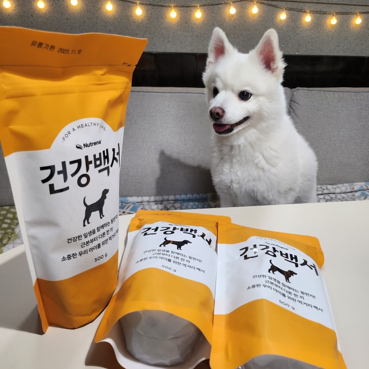 건강백서활력 강아지 알러지 걱정 덜어줄 가수분해 사료 추천