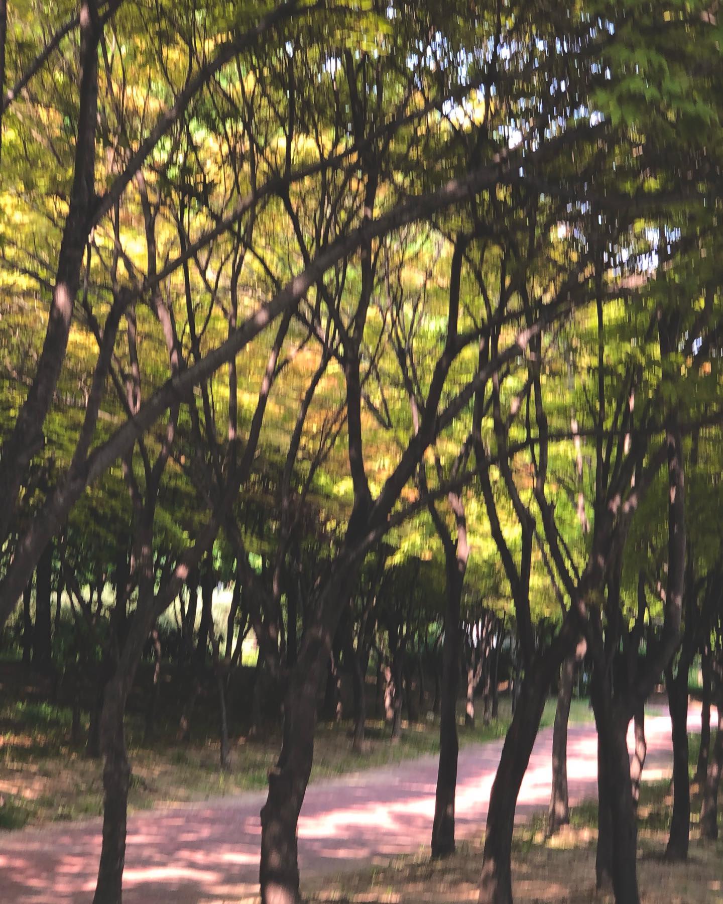 7월두 빠샤빠샤