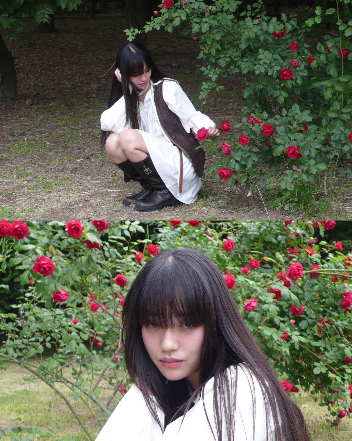 🌹