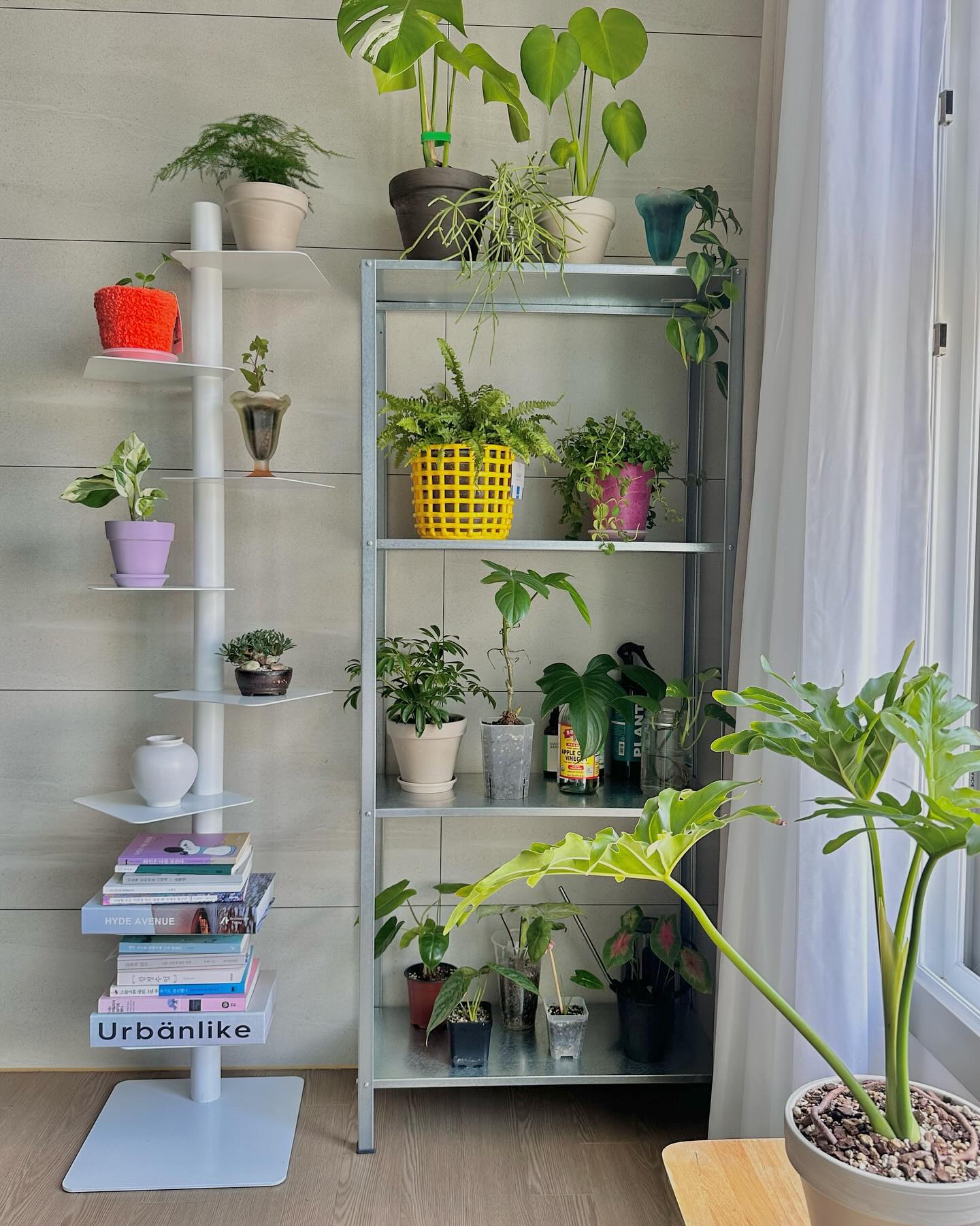 🌱🌱🌱