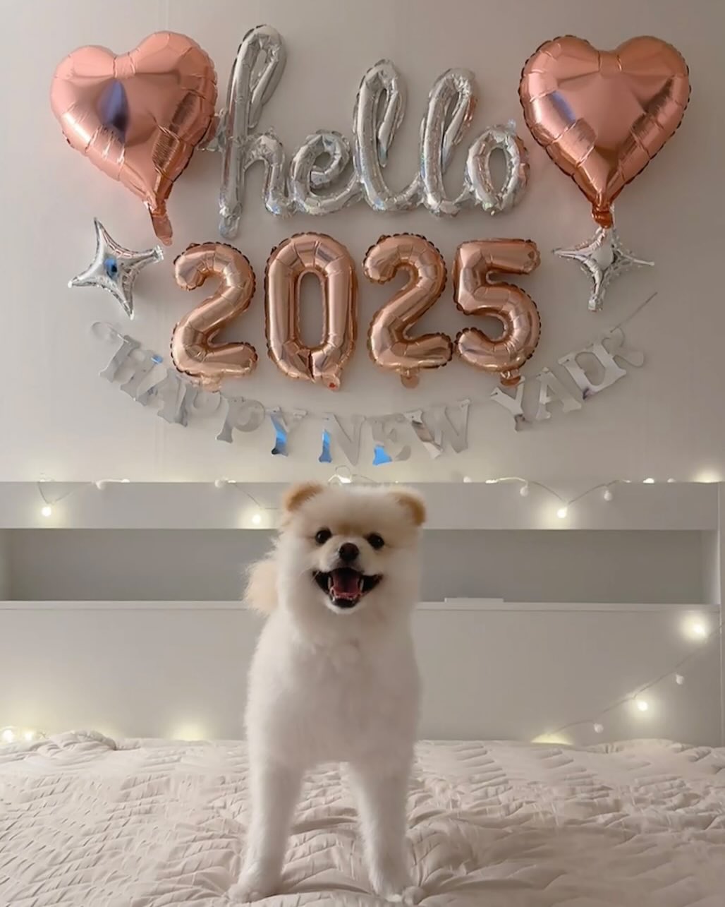 Happy New Year!💗