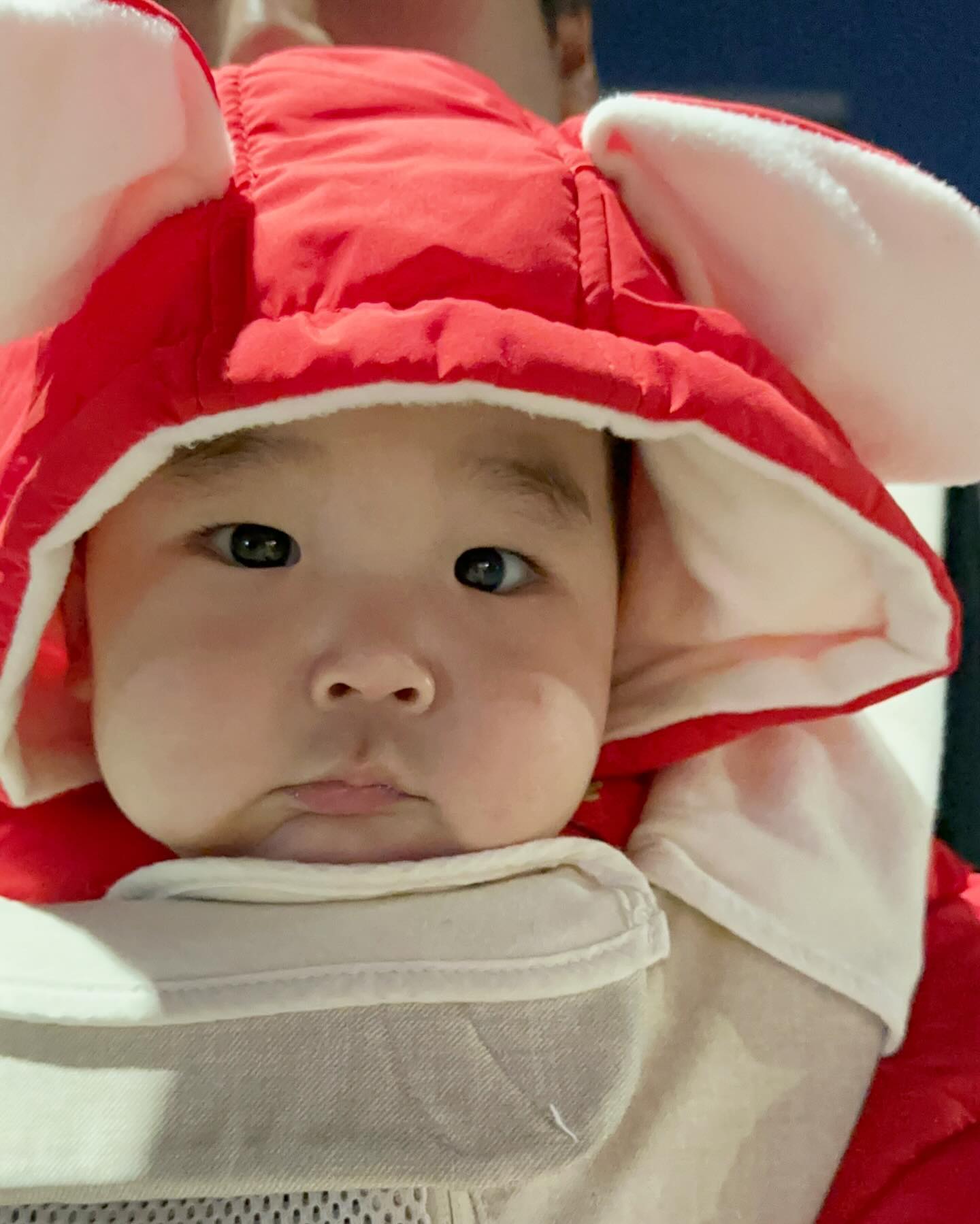 우리가족 산책 🧡🧡 
오복이🤎모카 빠질수 없찌 👶🏻🐶
#닥스훈트#애개육아#애개산책