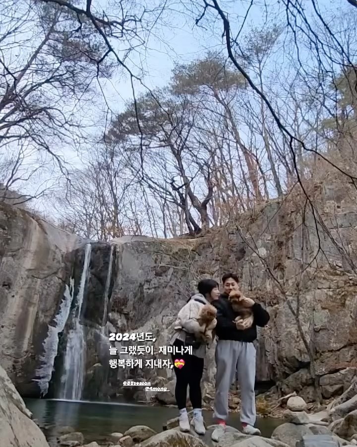 콘텐츠