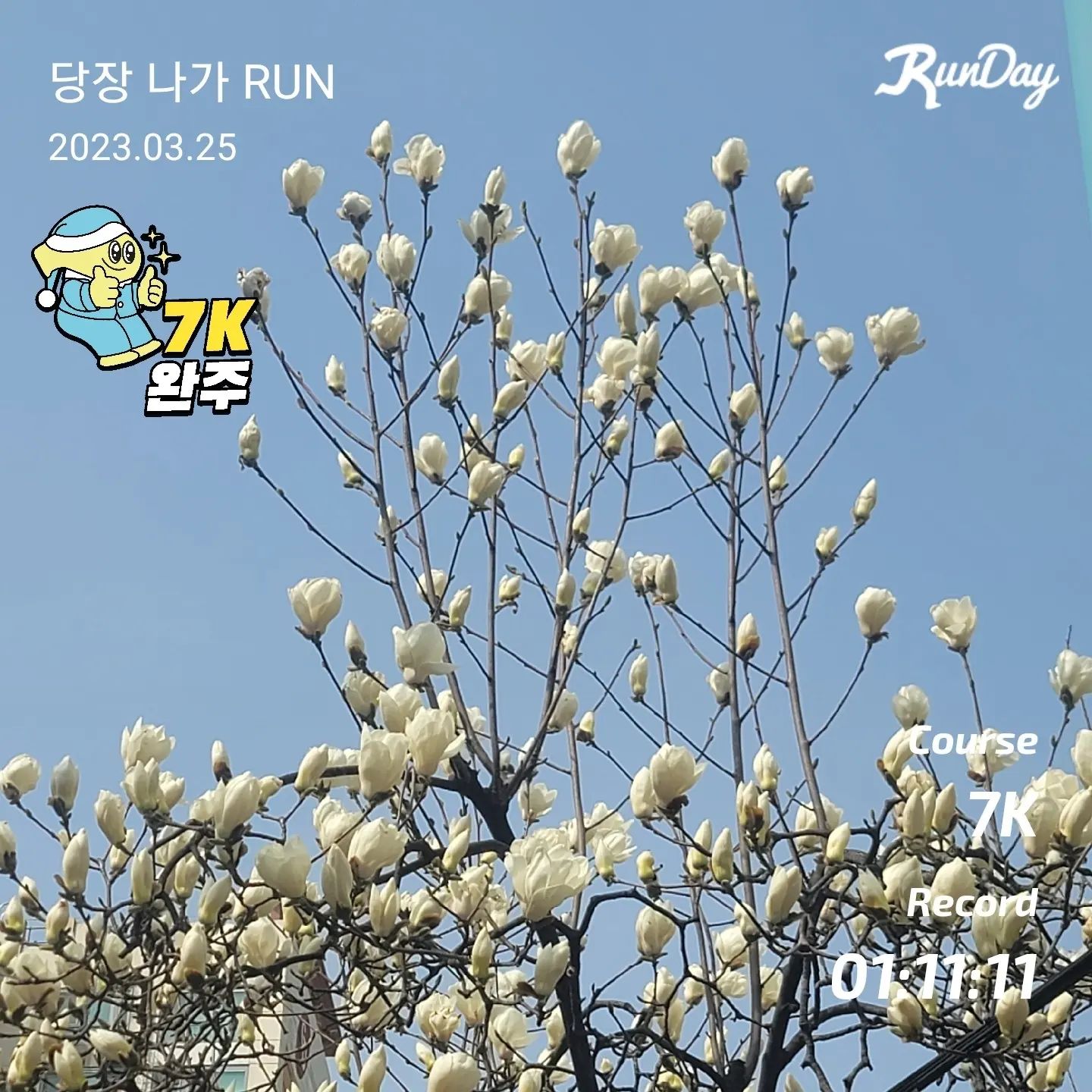 #덴운완
어제 아침 러닝!
런데이 7키로 마라톤 신청해서 아침에 후닥 뛰고 왔어요!
실시간 마라톤 참여하고 싶어서 30분 늦잠잤지만 나갔더니 기록에도 +30분이 되네요🤔
새신발 개시했더니 기록도 20초정도 단축돼서 기분 좋아요🏃‍♀️
신발 자랑도 조만간 할게요👟