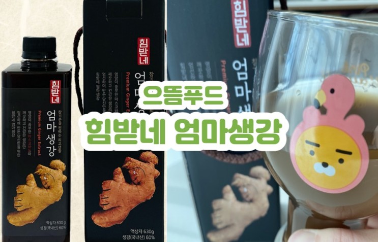 식품 ) 으뜸푸드 힘받네 엄마생강 ㅣ 수제생강청ㅣ 수제생강차ㅣ 면역력에 좋은 차ㅣ 목감기에 좋은 차ㅣ 생강청ㅣ 독감에좋은차ㅣ 내몸살림