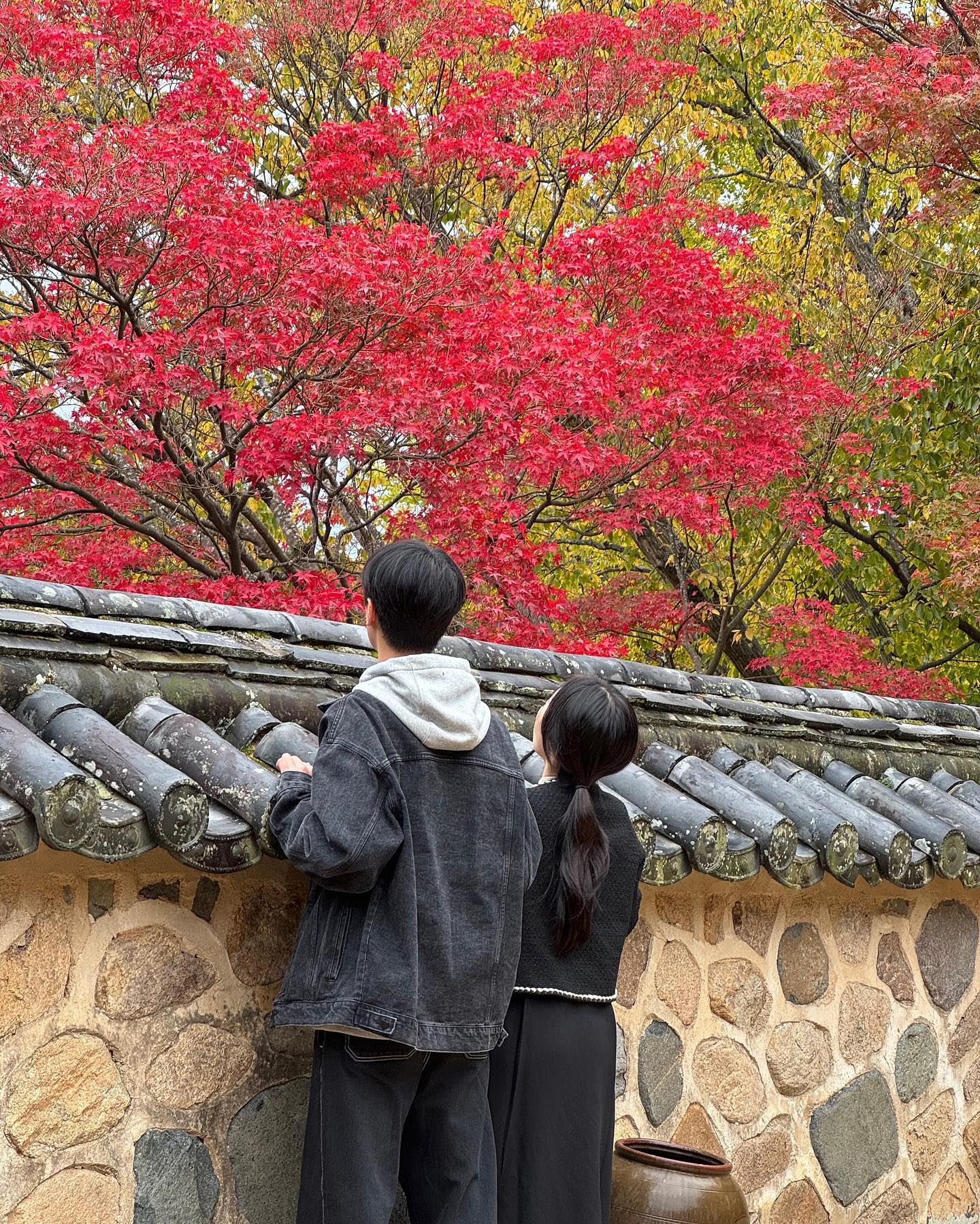 ⠀
⠀
인자기랑 어무니랑 셋이서 햅쁴 경주 🍁
⠀
+ 이번에도 어김없이 비를 몰고온 그...🫨
⠀