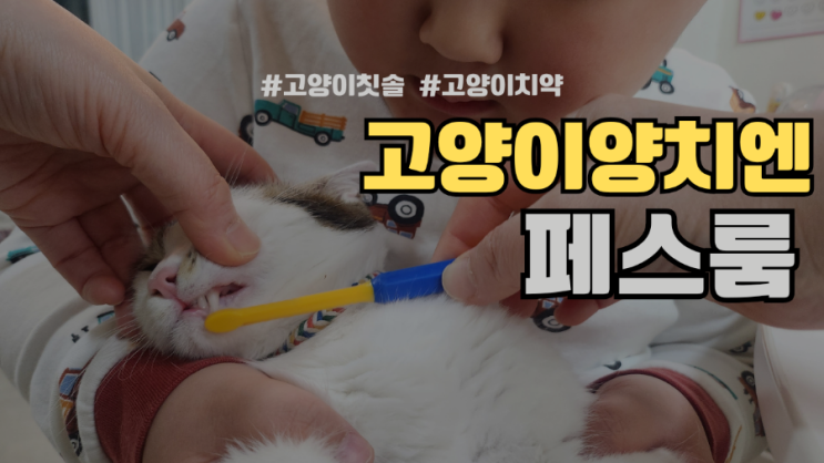고양이양치엔 페스룸 칫솔 페스룸치약 !