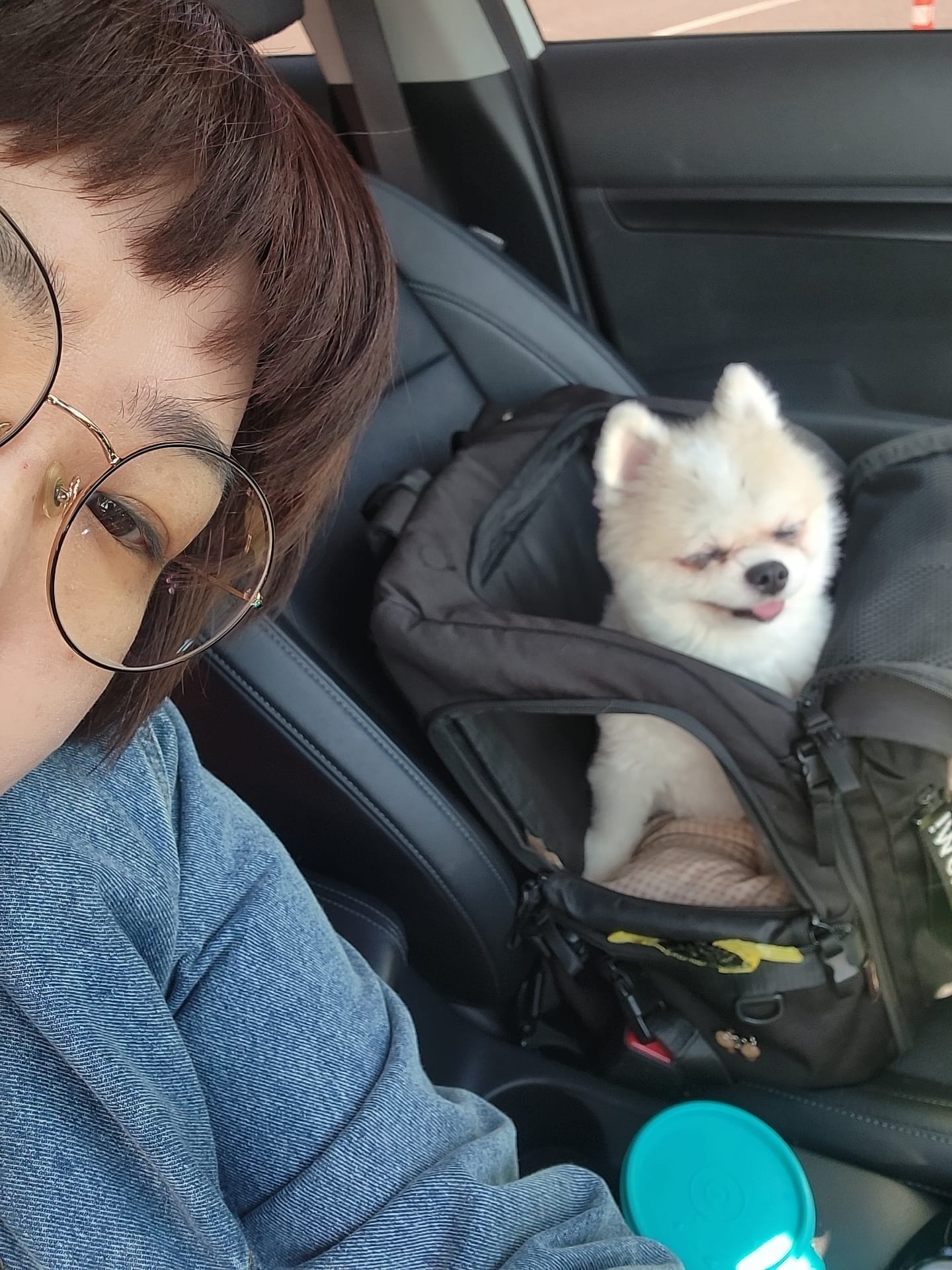 오랜만에 #막내딸 과 함께
#봄나들이
근데 겁나 춥자
진찐 춥다
이건 봄이 아니다
꽃도 안폈다
#사람구경 만 실컷
아주아주 긴 드라이브만 실컷 하다온 #토요일

결국 기나긴 드라이브로 #개뻗음 모니

매화꽃은 다음 기회에
🤣🤣🤣