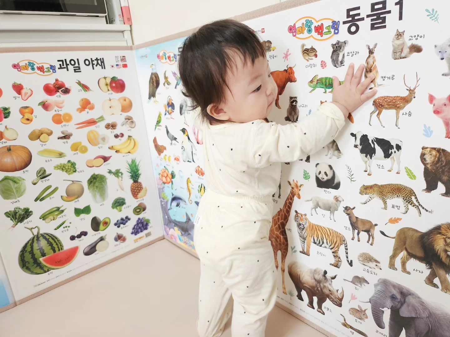#제품제공 - 훈민출판사 아기병풍 엄마랑 병풍
수아의 새로운 아기병풍은 훈민출판사로 PICK!

기존의 아기병풍이 작기도 하고 찢어지는 바람에
새 병풍을 들일까 고민하고 있었는데요.

돌 정도 되는 수아에게 딱 괜찮을 병풍을 발견했어요!

┈┈┈┈┈┈┈┈┈┈┈┈
❝ 훈민출판사 아기병풍 엄마랑 병풍 ❞

▪︎ 완성품이 와서 편리하고 퀄리티가 좋다
▪︎ 테두리에 패브릭으로 마감되어 튼튼하고 안전하다
▪︎ 크기가 크고 주제가 여러가지라 아이가 큰 이후에도 쭉 사용할 수 있다
▪︎ 실사진과 일러스트의 적절한 구성 & 부분 유광 코팅
▪︎ 세이펜 연동 및 3개국어 지원
▪︎ 곰돌이 안전 거울
┈┈┈┈┈┈┈┈┈┈┈┈

이렇게 장점이 많은 아기병풍이라 넘 맘에 들어요 ㅎㅎ
다른 병풍 써보고 사이즈가 작아지고 망가진 것을 보니
한번 구매할 때 제대로 된 병풍을 구매하는게 좋은 것 같아요.

아기 병풍 고민 중이신 분들께 추천해요!
저는 세이펜 핫딜 구매하러 갑니당♥︎

•

💛 Thank you hunminbook 
🏷 훈민출판사 아기병풍 - 엄마랑 병풍

#엄마랑병풍 #아기병풍 #훈민출판사 #세이펜 #아기병풍완제품 #패브릭마감 #신생아부터 #유아병풍 #안전거울 #다양한주제 #추천해요