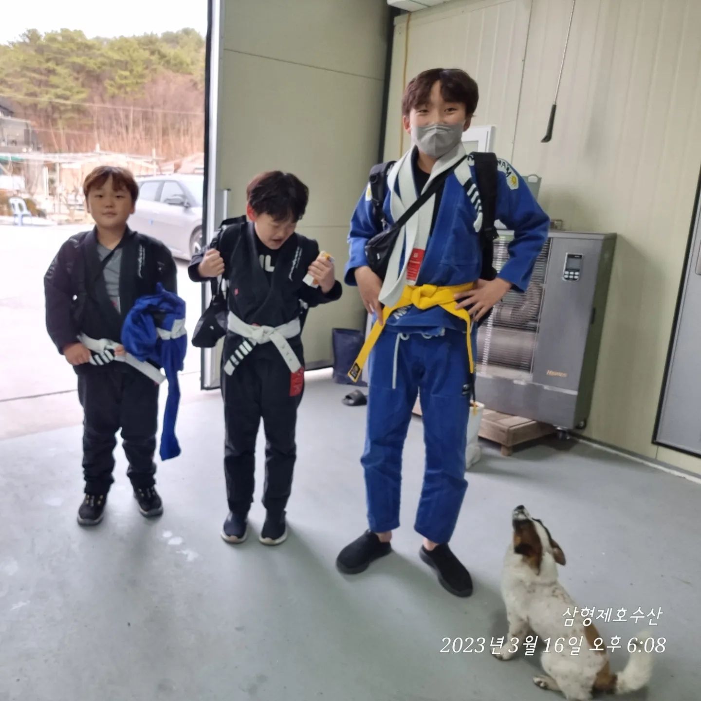 #주짓수 #주짓수하는남자 #승급 #삼형제 #킹덤주짓수 #고성킴덤주짓수 #옐로우 #4그랄 #3그랄 #멋짐뿜뿜 
삼형제호수산