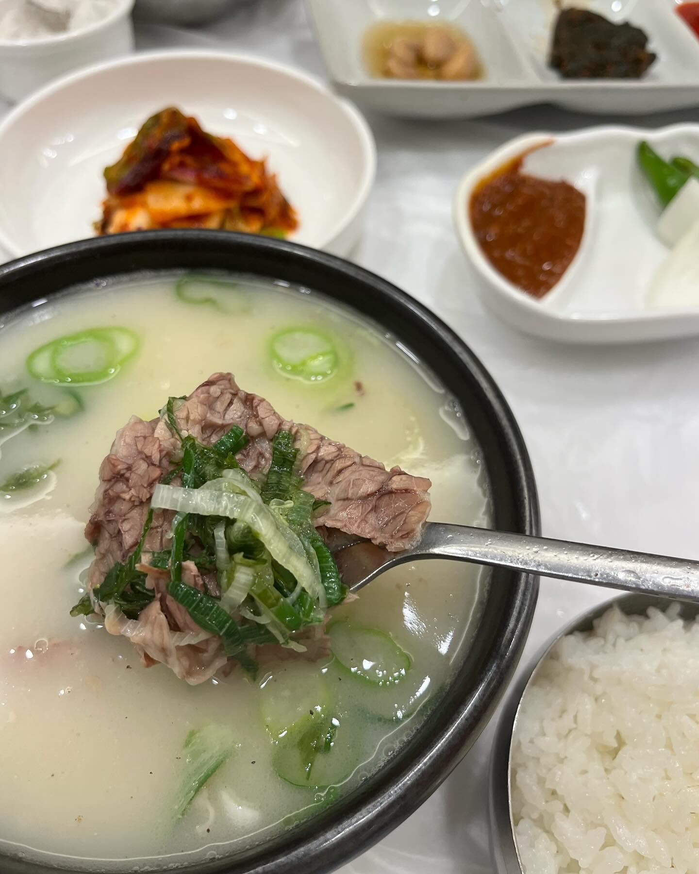 #체험단리뷰
깊은 국물의 #세종부강곰탕맛집 🍲

우리 고장 세종에서 만든 #세종곰탕 한식브랜드 ‼️ 프리미엄 #세종화백곰탕냉면부강본점

👦🏻 아빠는 보양식사 화백설렁탕 👩🏻 엄마는 진짜 사골 #세종부강곰탕 👧🏻 찌유는 수제돈가스랑 서비스 감자만두
아이부터 어른까지 😋 다양한 메뉴를 고를 수 있는 부강면 #세종점심맛집!

건강하고 맛있는 든든한 한 끼를 찾으신다면 🥄 #세종시점심 은 #세종시점심맛집 #세종시곰탕 적극 추천합니다~