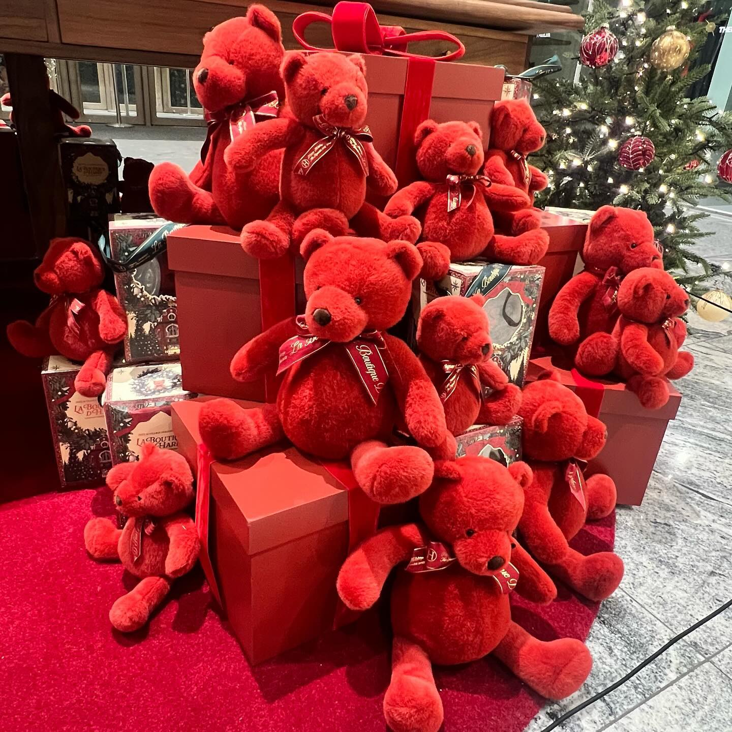 갠적인 일들이 많아서
12월이 진짜 어트케 지나갔는지 모르겠음🙃
2024는 모두 다 행복하기🫶🏻🩵

#2024 #happynewyear #🩵