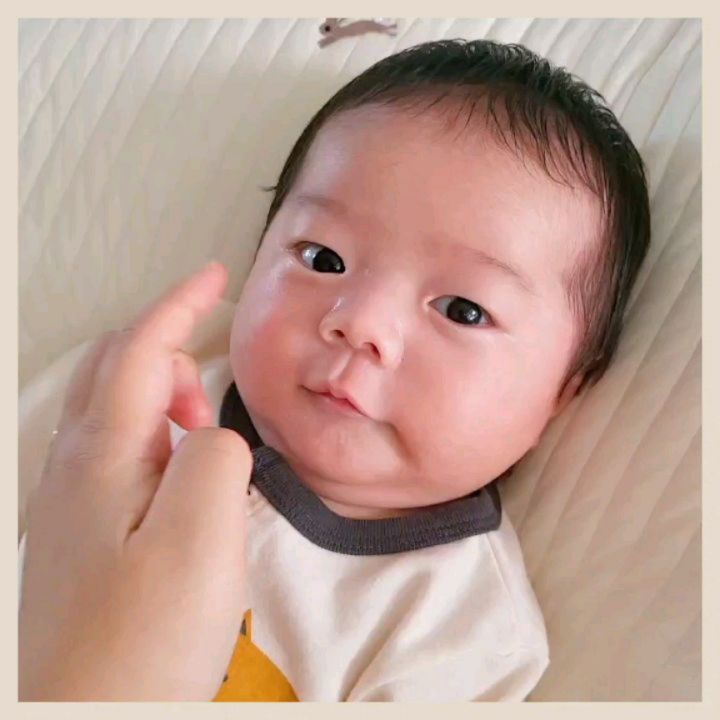 #인생49일차  동글동글한게 휴게소 알감자 같지않나요?ㅋㅋㅋㅋㅋㅋㅋㅋㅋ
(띠용애비는 밭에 굴러다니는 흙감자 닮음)

매일매일 리즈갱신중인 띠용이💛
내일이면 50일이라니 🤭 벌써 많이 컸죠?!